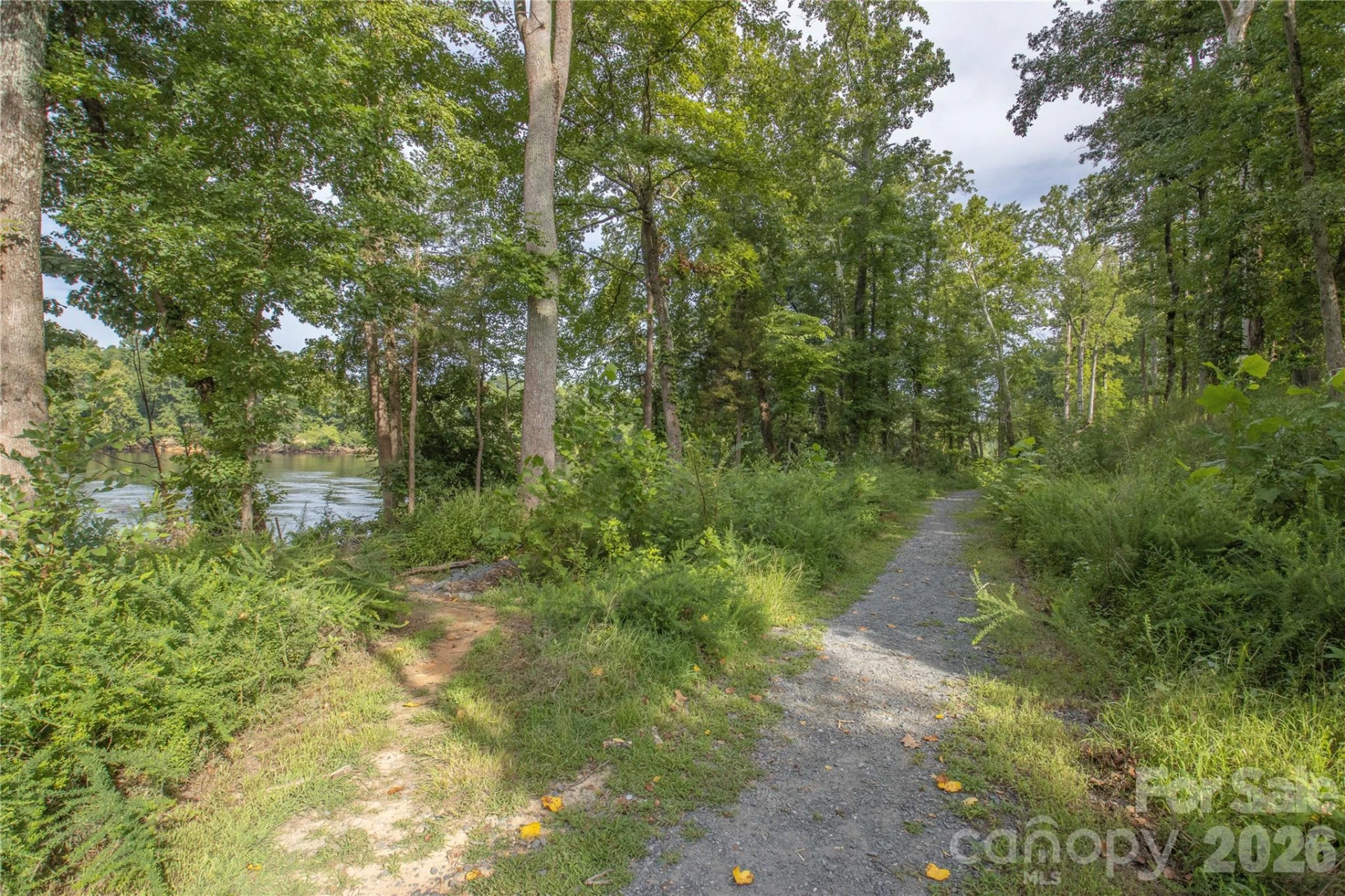 1633 Half Pint Loop - Photo 45