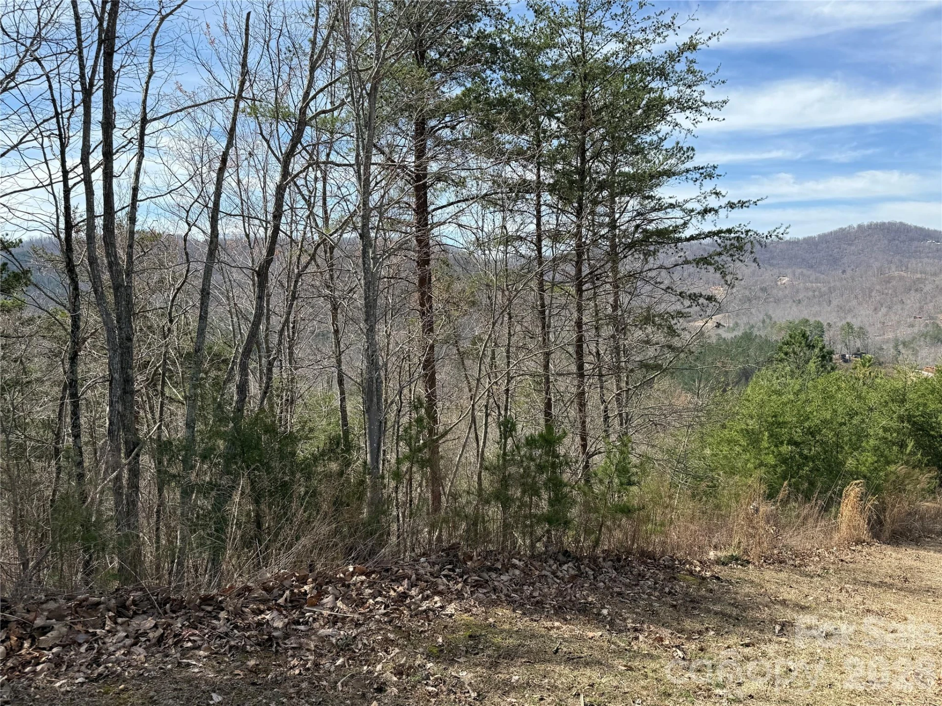 Lot 165 Pinegrove Drive #165