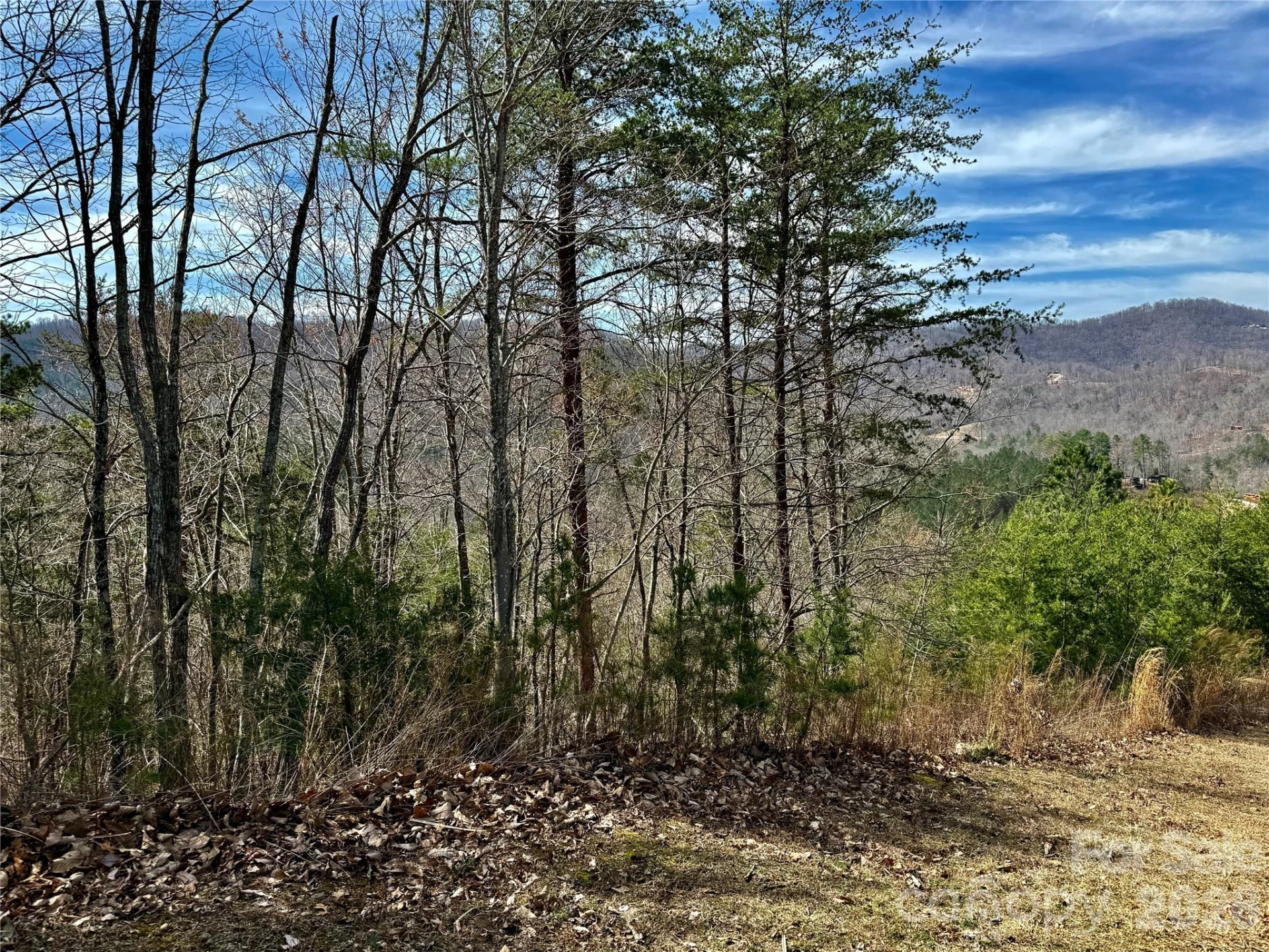 Lot 165 Pinegrove Drive #165 - Photo 2