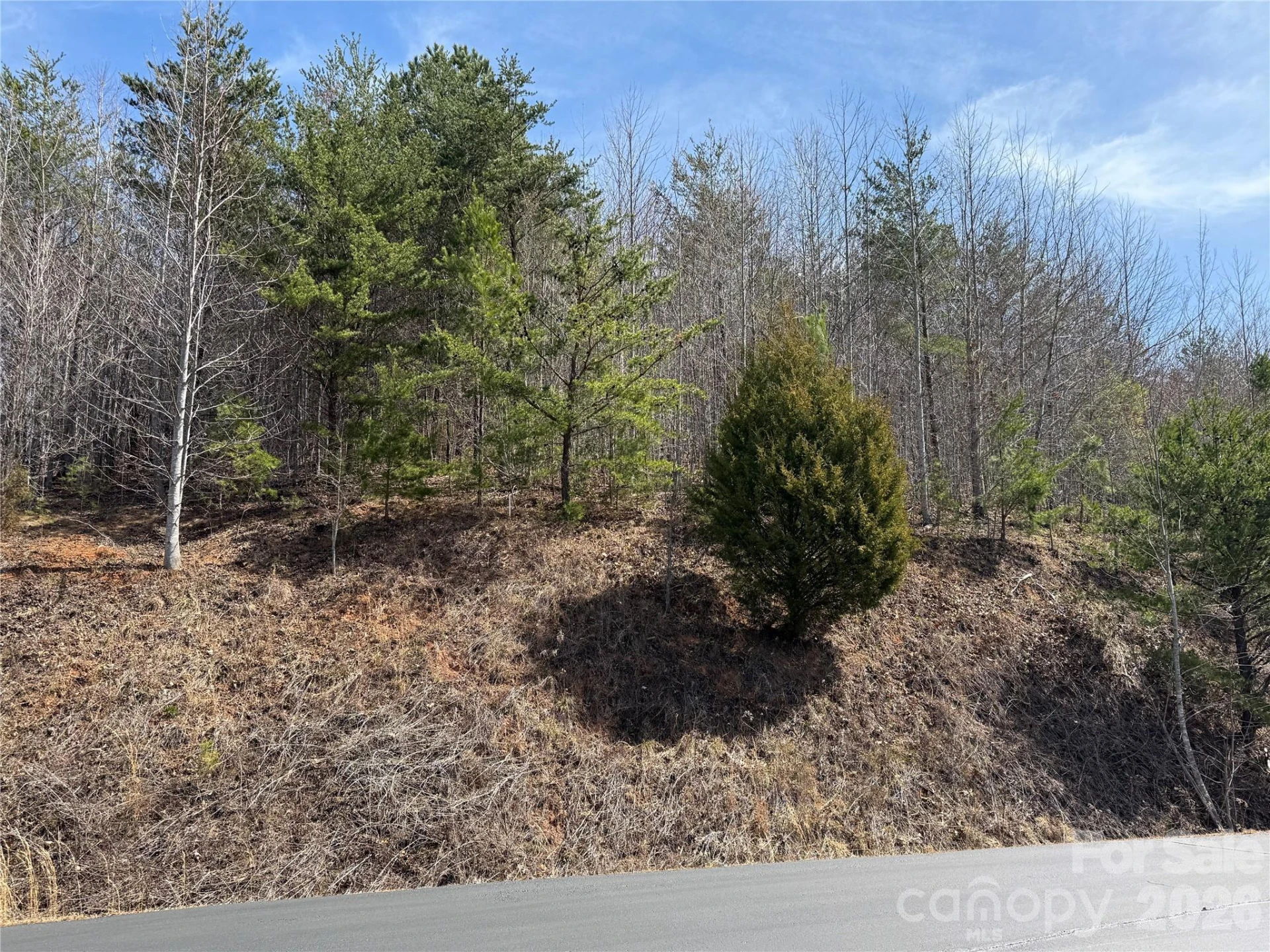 Lot 165 Pinegrove Drive #165 - Photo 11