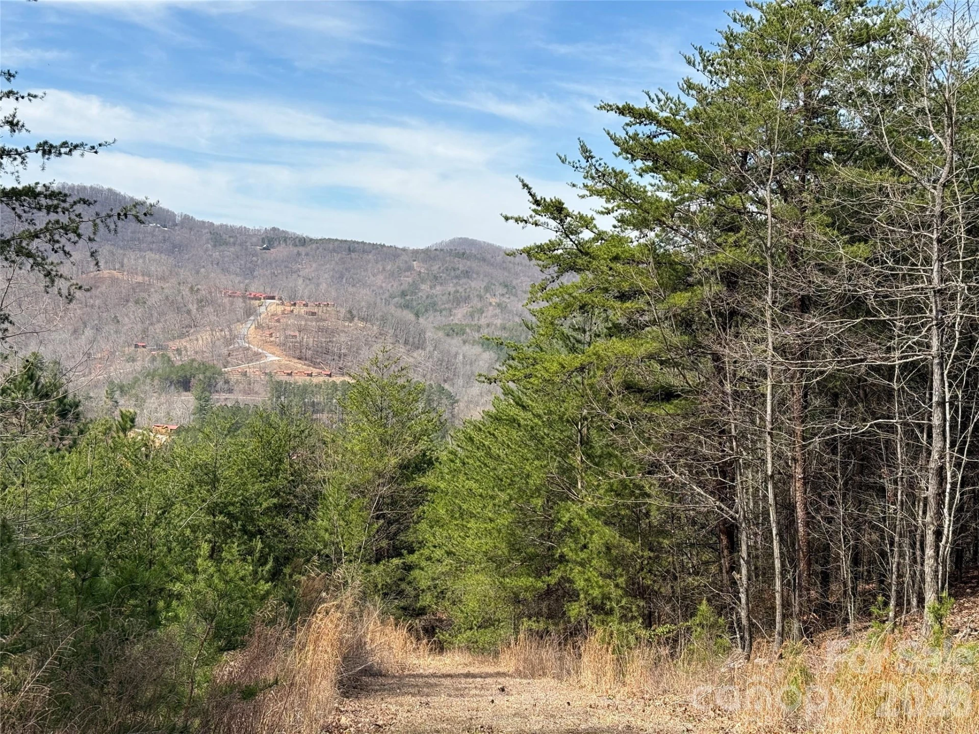 Lot 165 Pinegrove Drive #165 - Photo 12