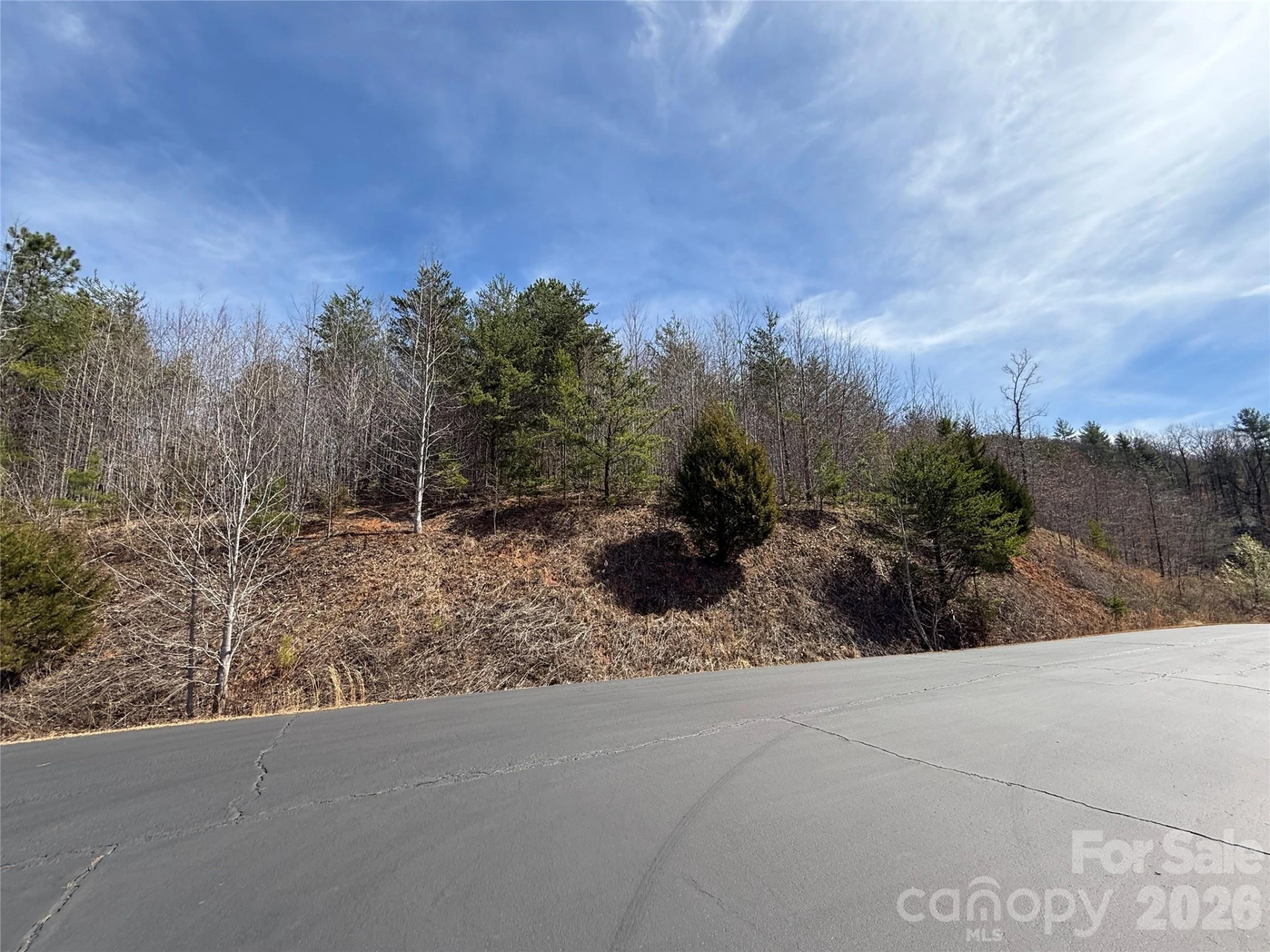 Lot 165 Pinegrove Drive #165 - Photo 13