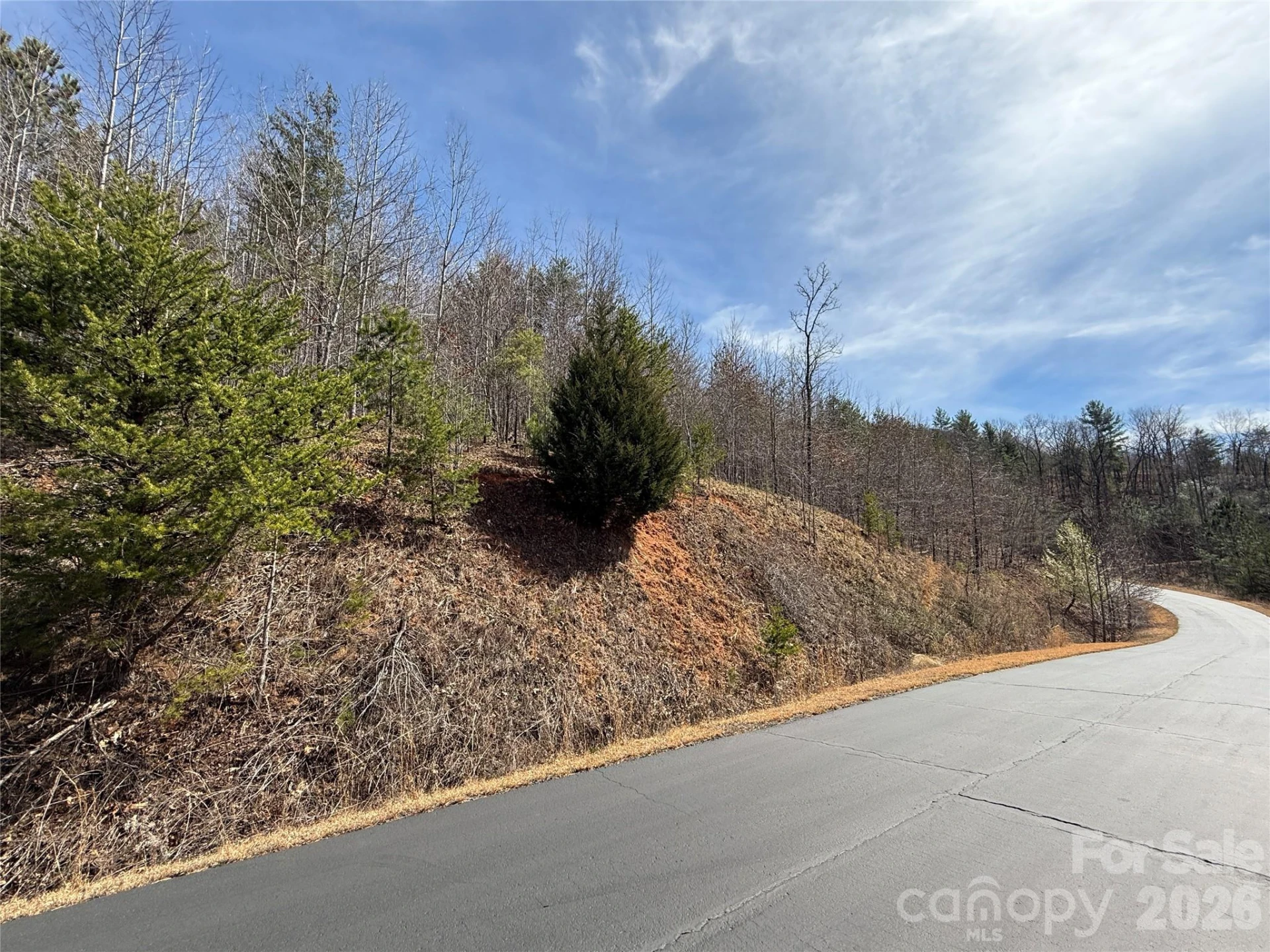 Lot 165 Pinegrove Drive #165 - Photo 14