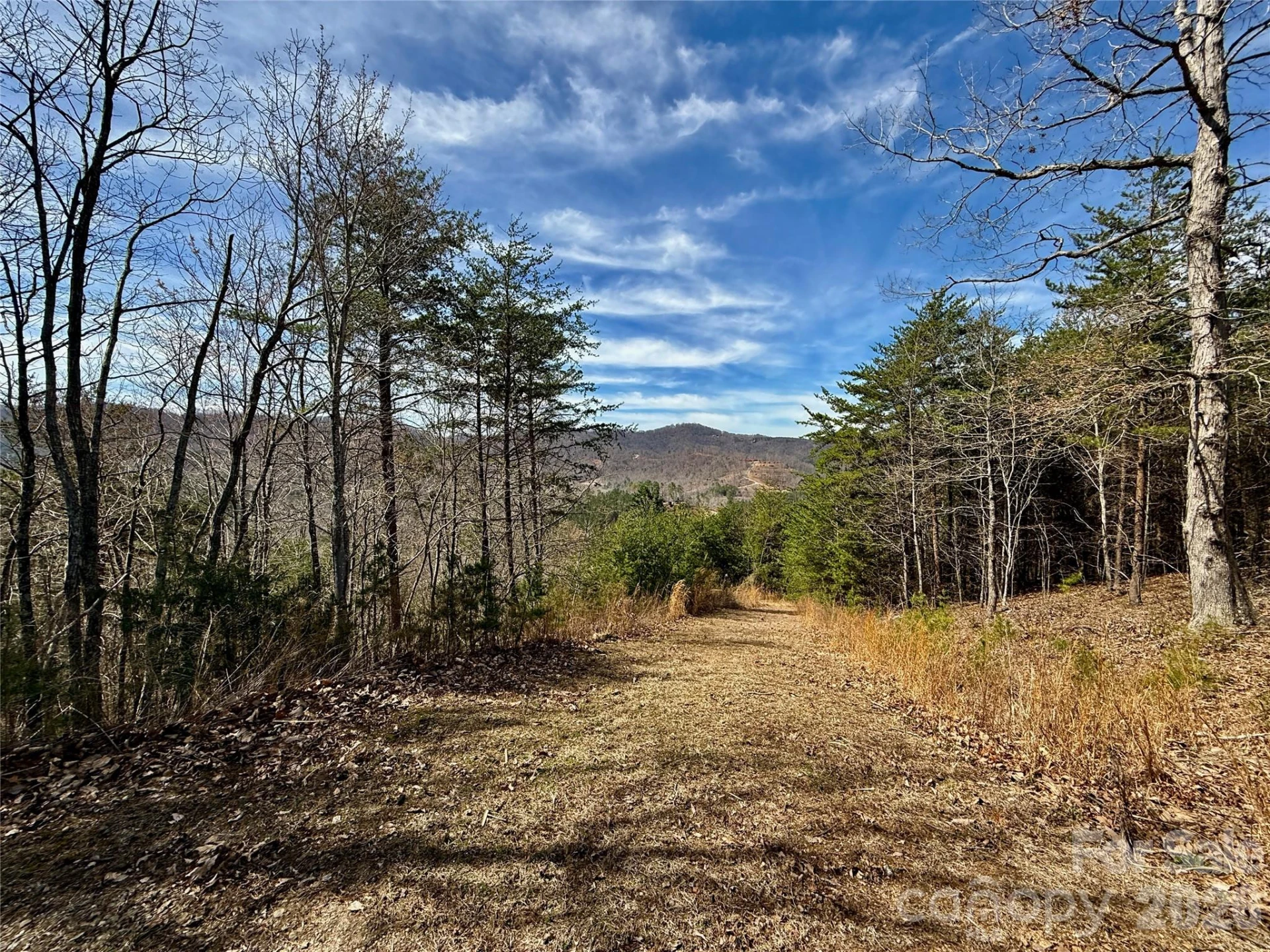 Lot 165 Pinegrove Drive #165 - Photo 15