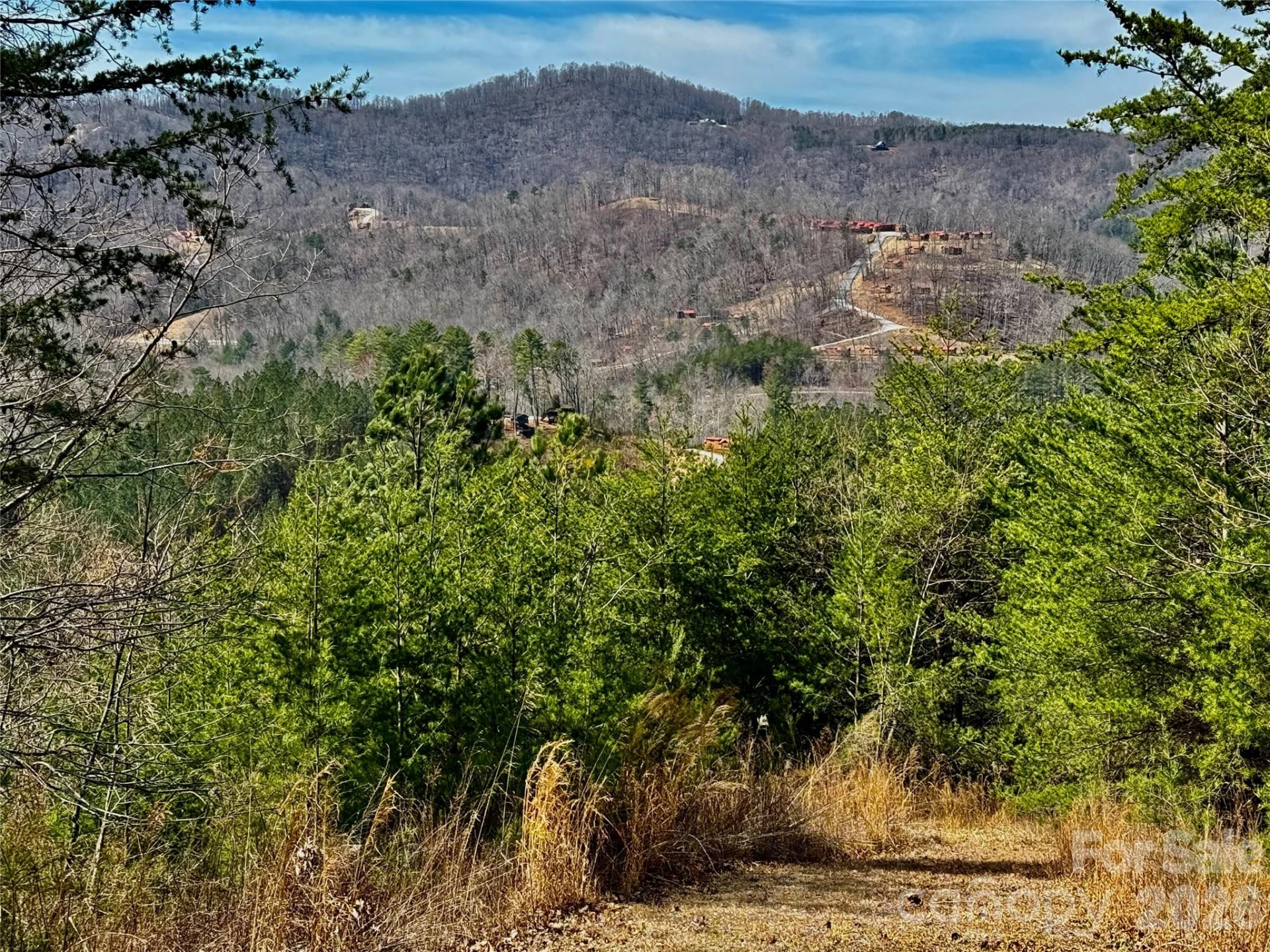 Lot 165 Pinegrove Drive #165 - Photo 16