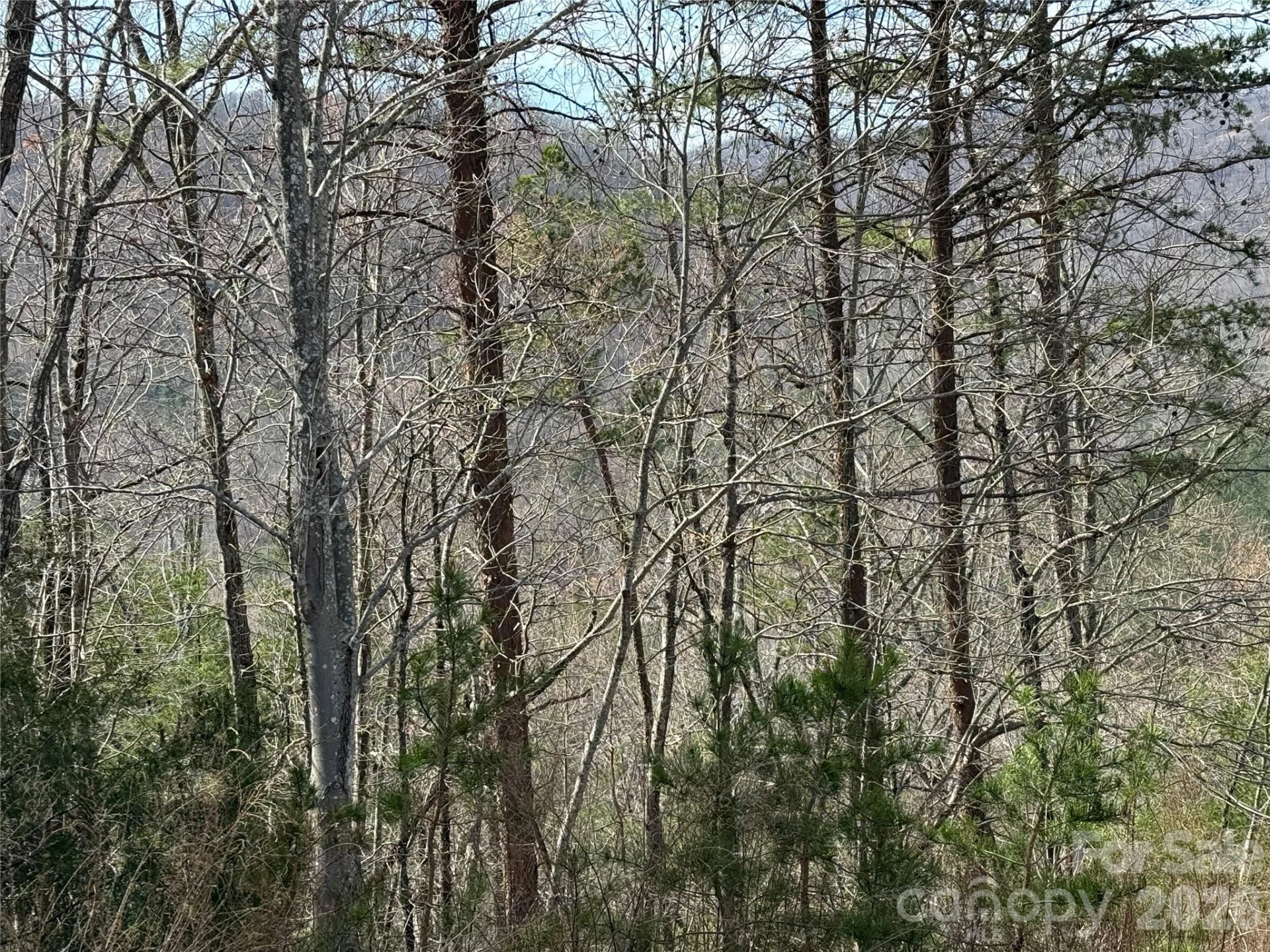 Lot 165 Pinegrove Drive #165 - Photo 17