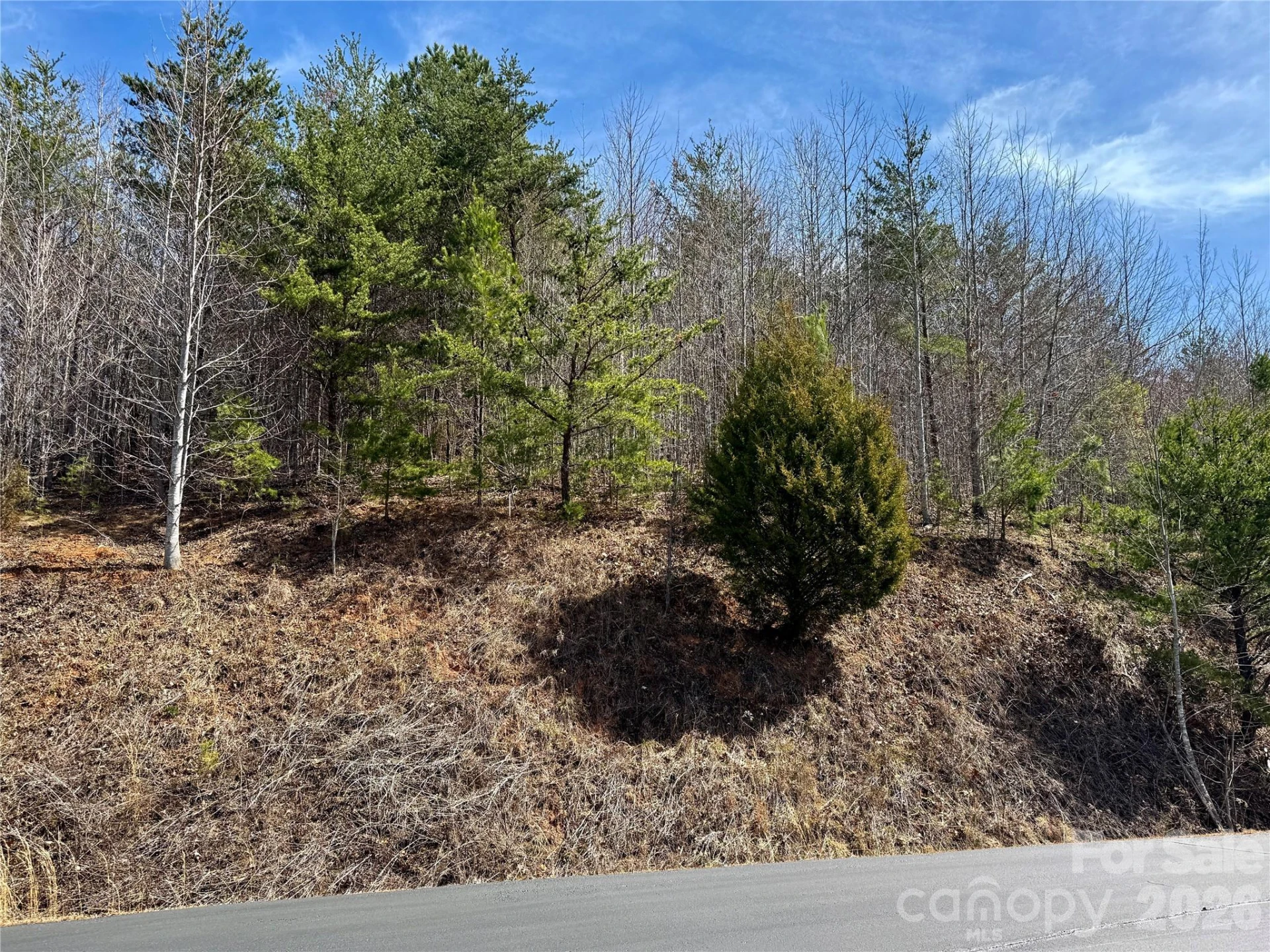 Lot 165 Pinegrove Drive #165 - Photo 18