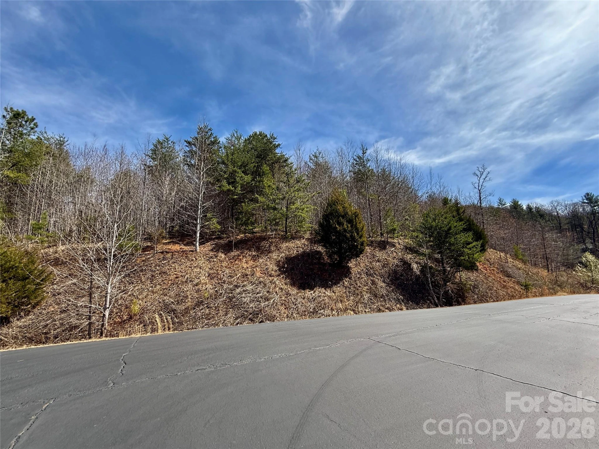 Lot 165 Pinegrove Drive #165 - Photo 19