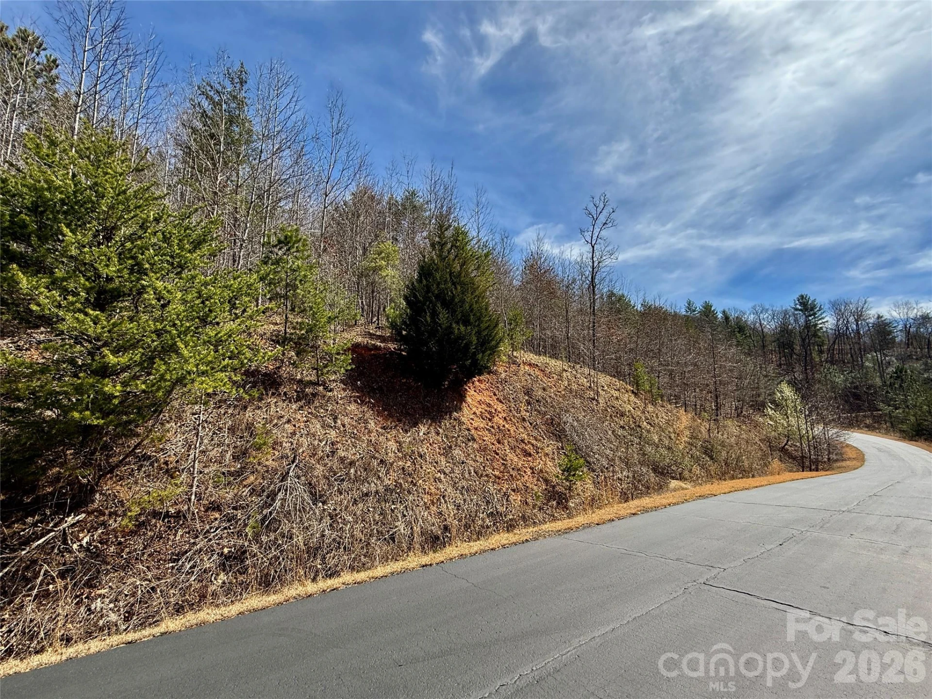 Lot 165 Pinegrove Drive #165 - Photo 20