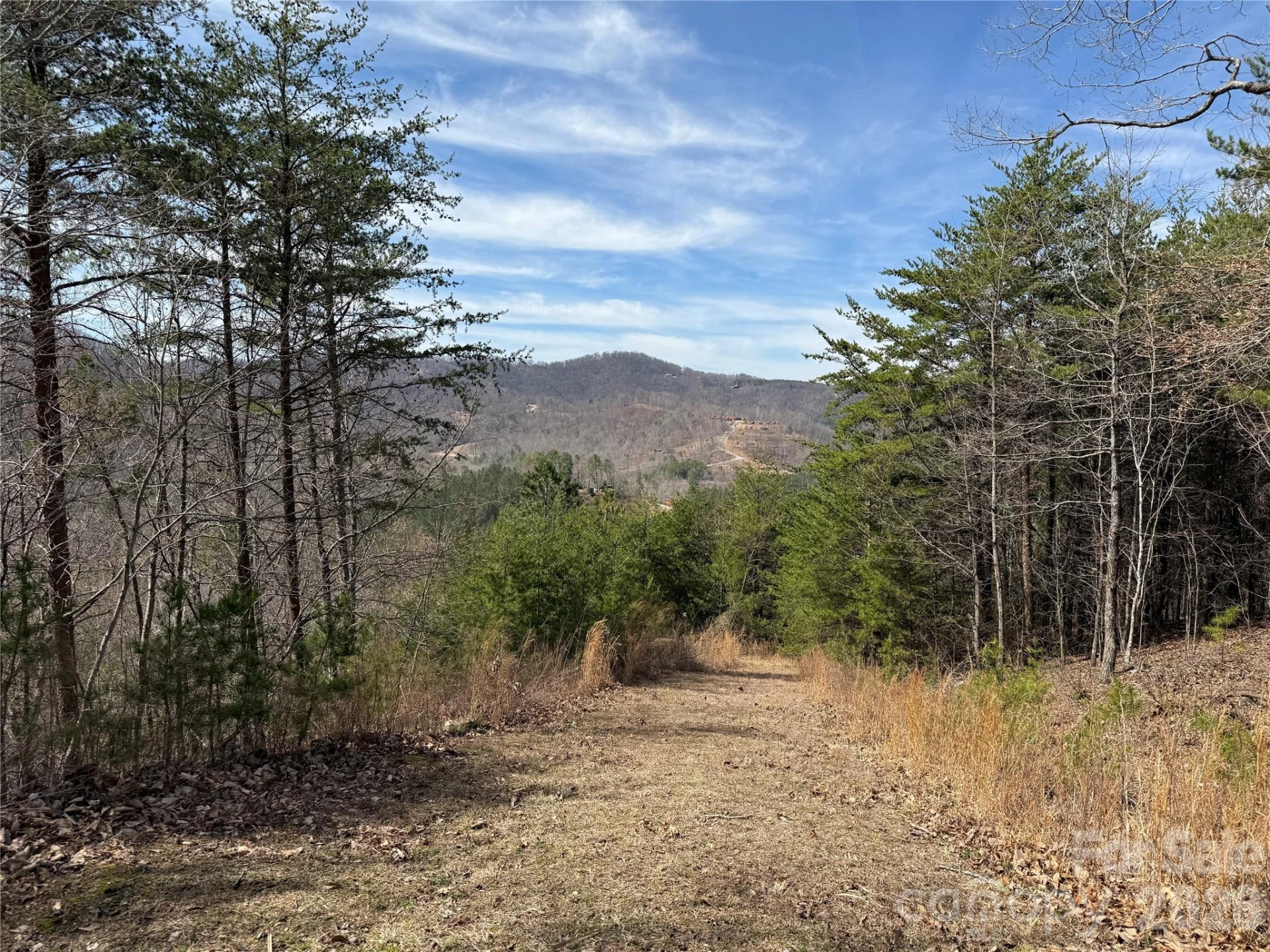 Lot 165 Pinegrove Drive #165 - Photo 3