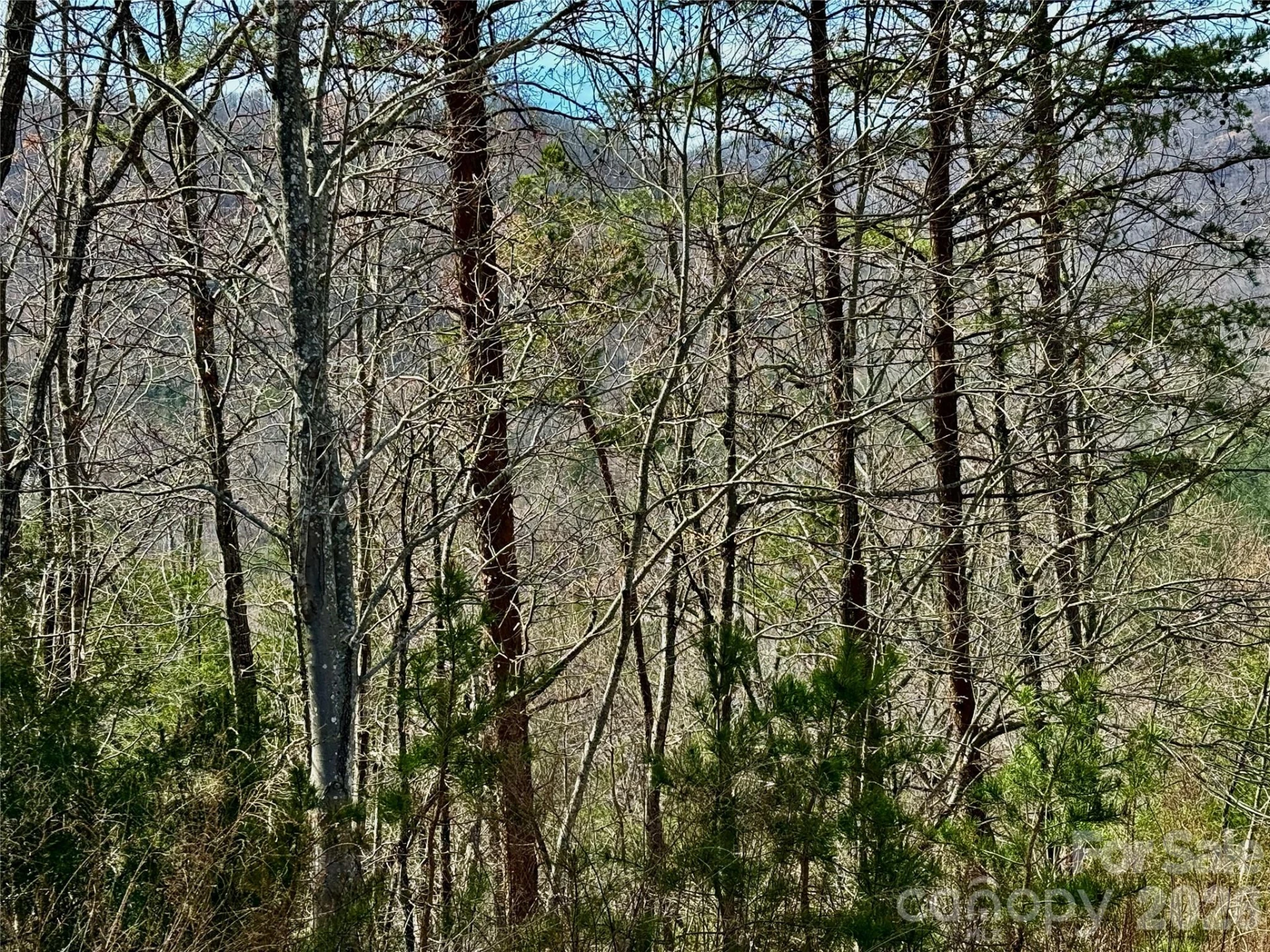 Lot 165 Pinegrove Drive #165 - Photo 21