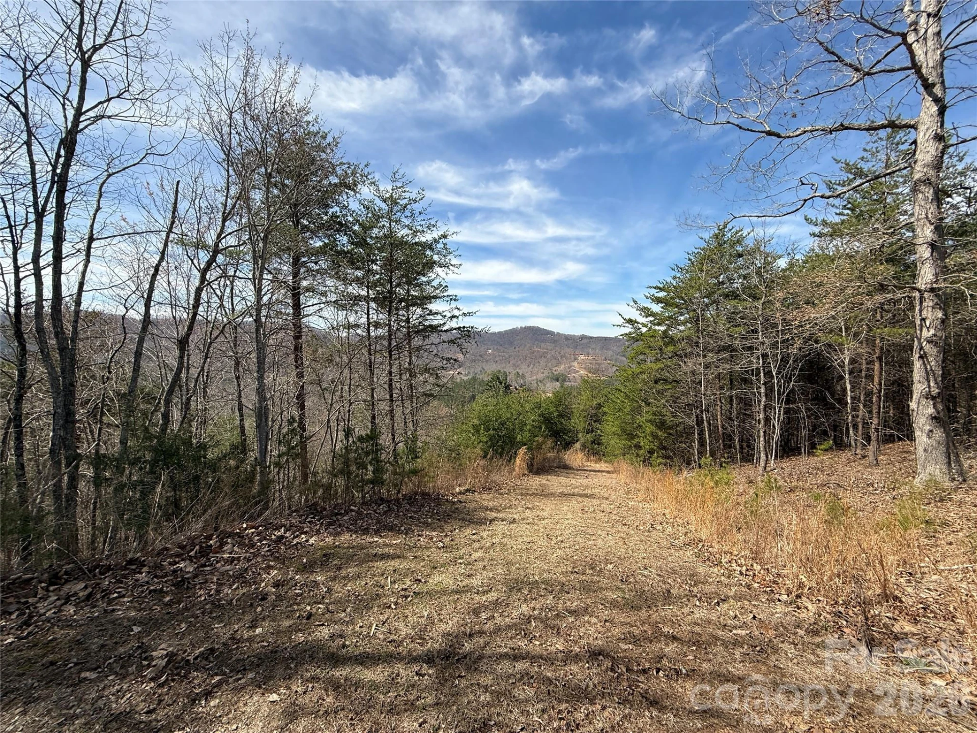 Lot 165 Pinegrove Drive #165 - Photo 4