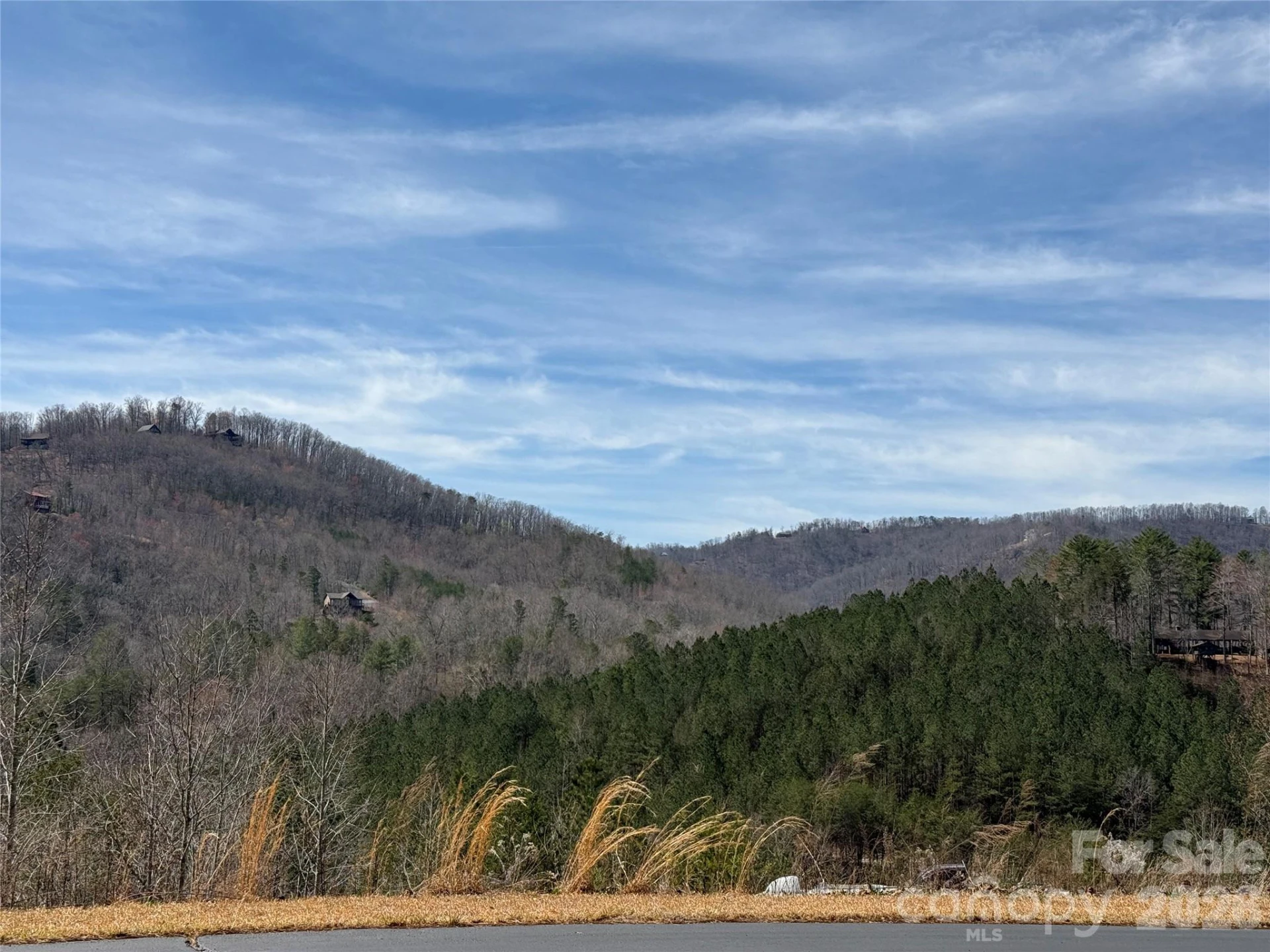 Lot 165 Pinegrove Drive #165 - Photo 6