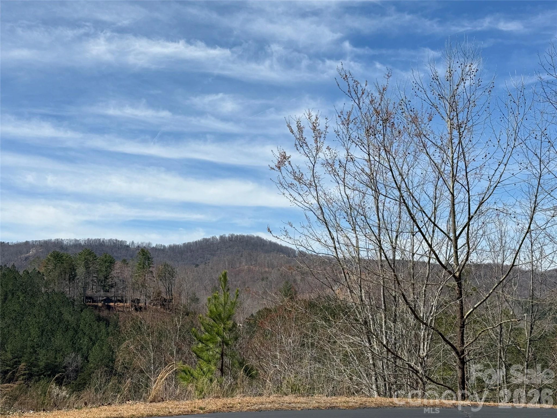 Lot 165 Pinegrove Drive #165 - Photo 7