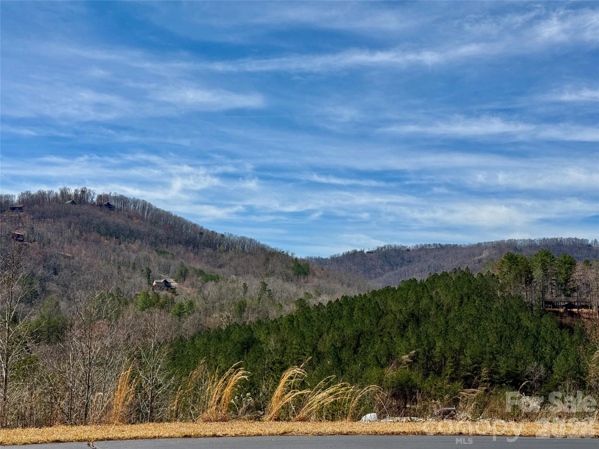 Lot 165 Pinegrove Drive #165 - Photo 8