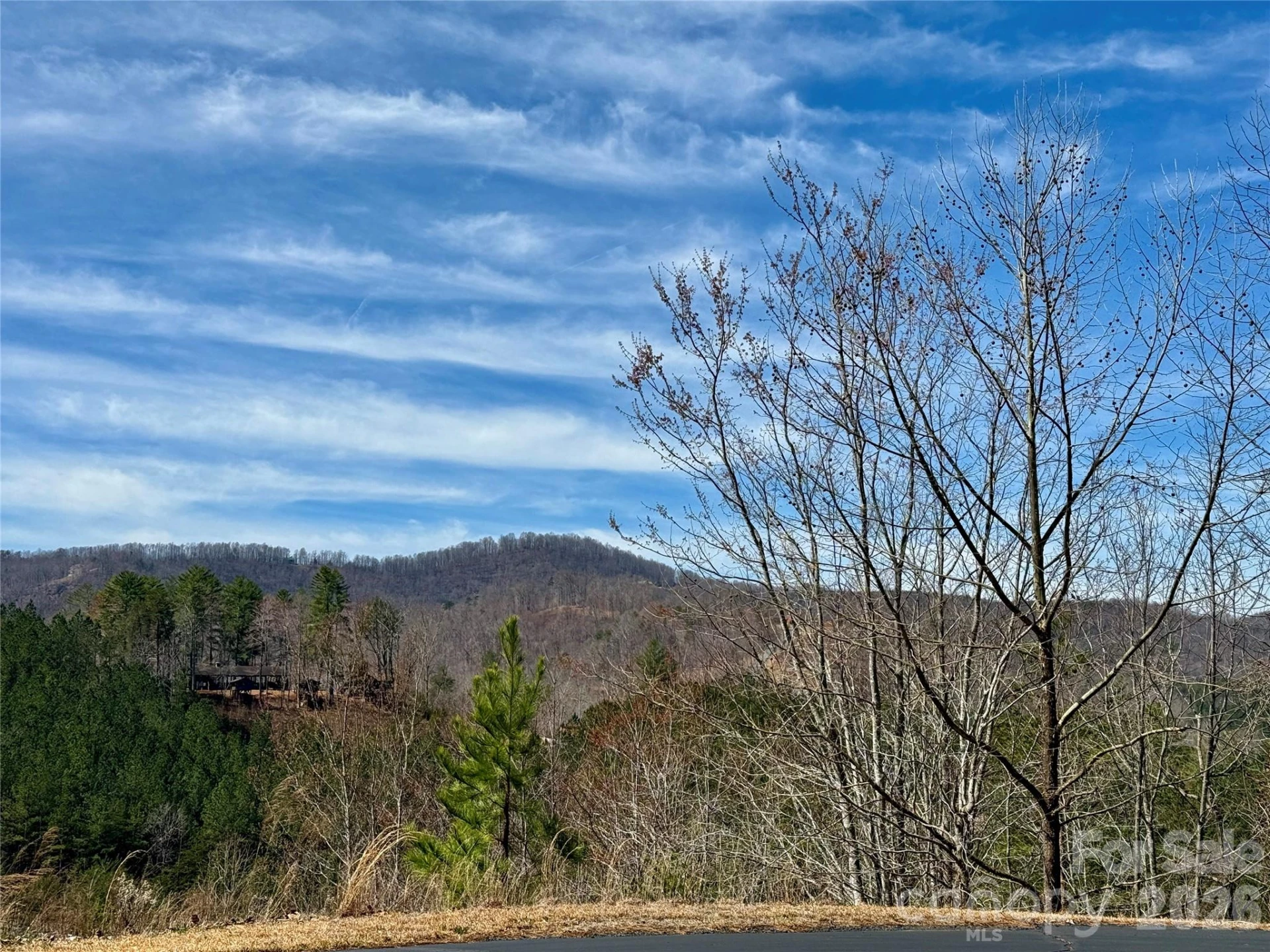 Lot 165 Pinegrove Drive #165 - Photo 9