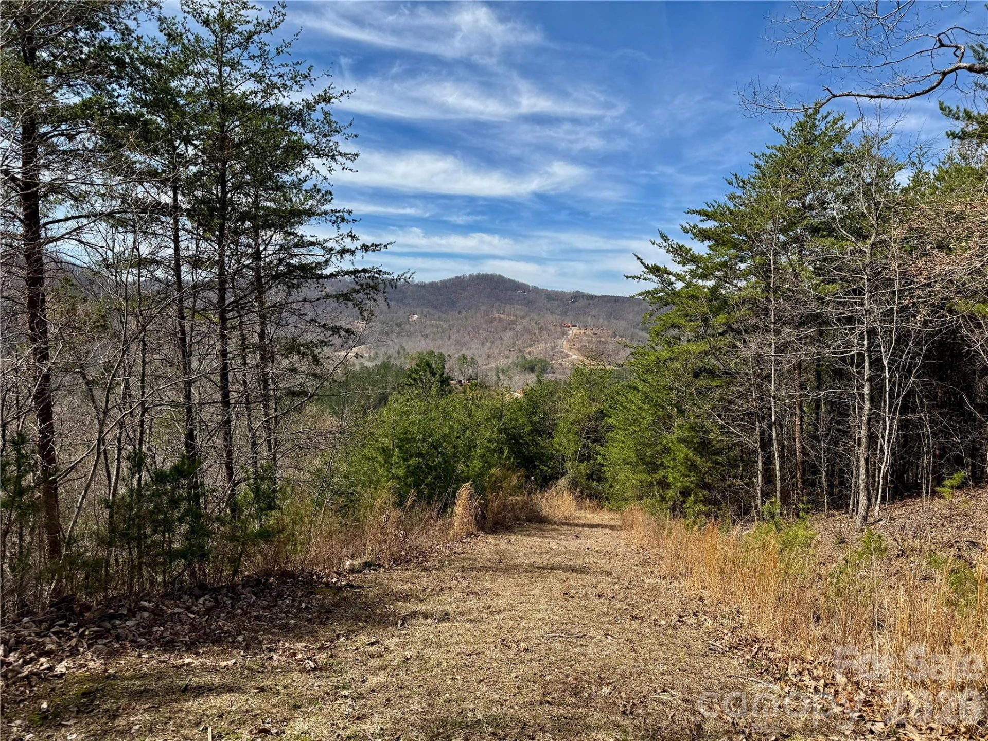 Lot 165 Pinegrove Drive #165 - Photo 10