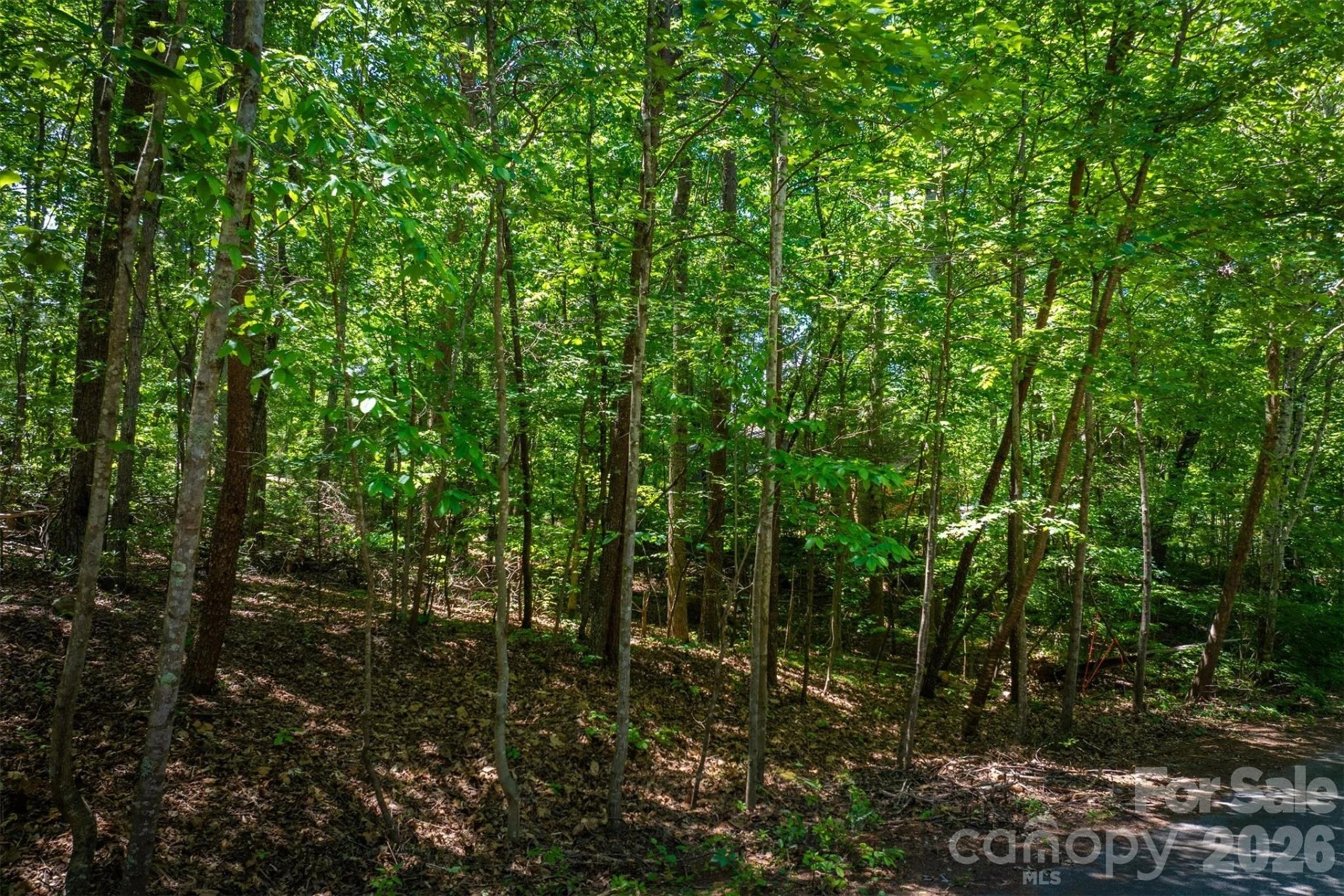 3835 Oak Drive - Photo 4
