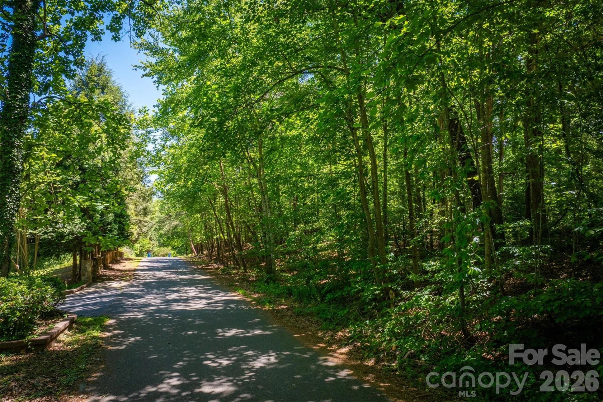 3843 Oak Drive - Photo 2