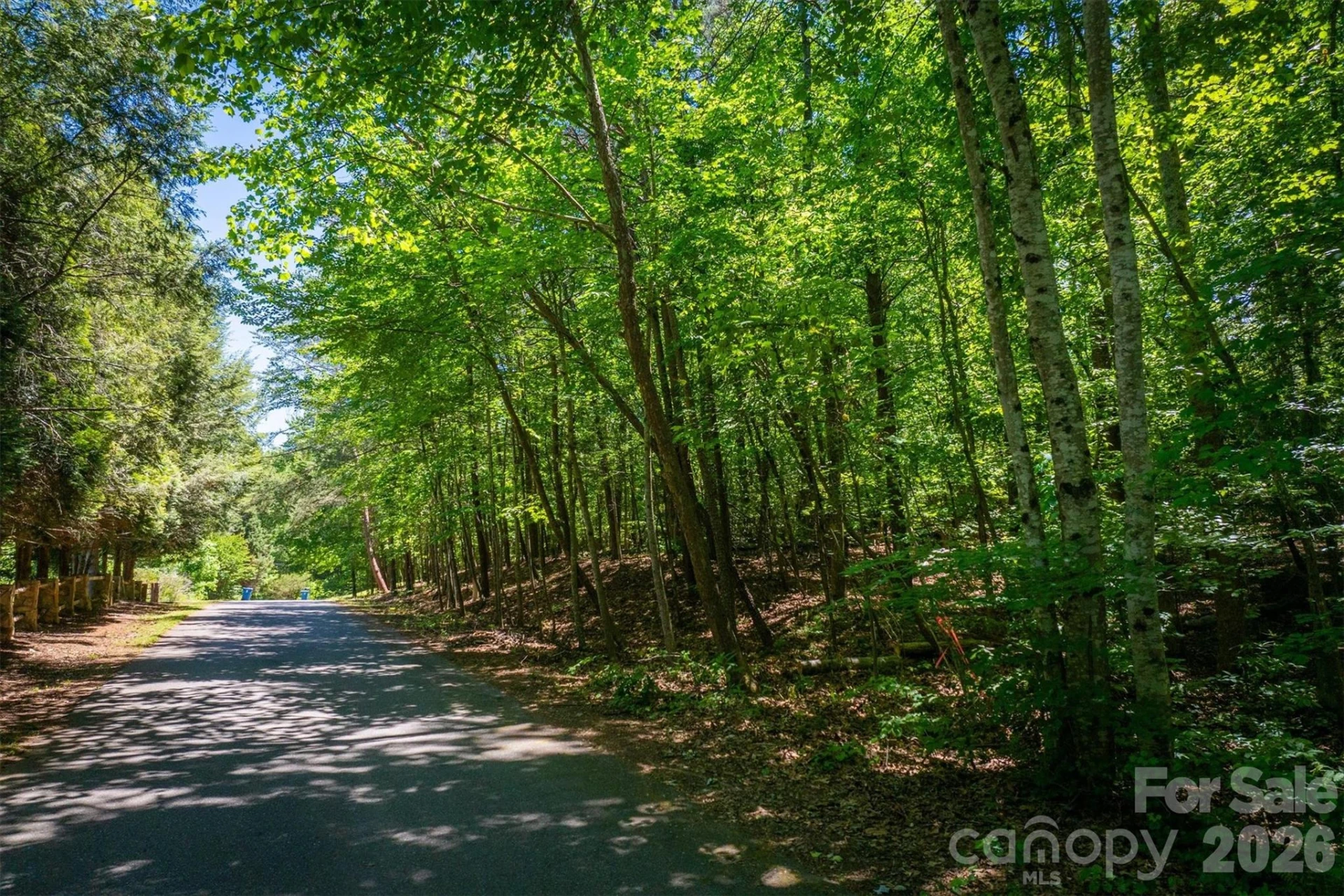 3843 Oak Drive - Photo 3