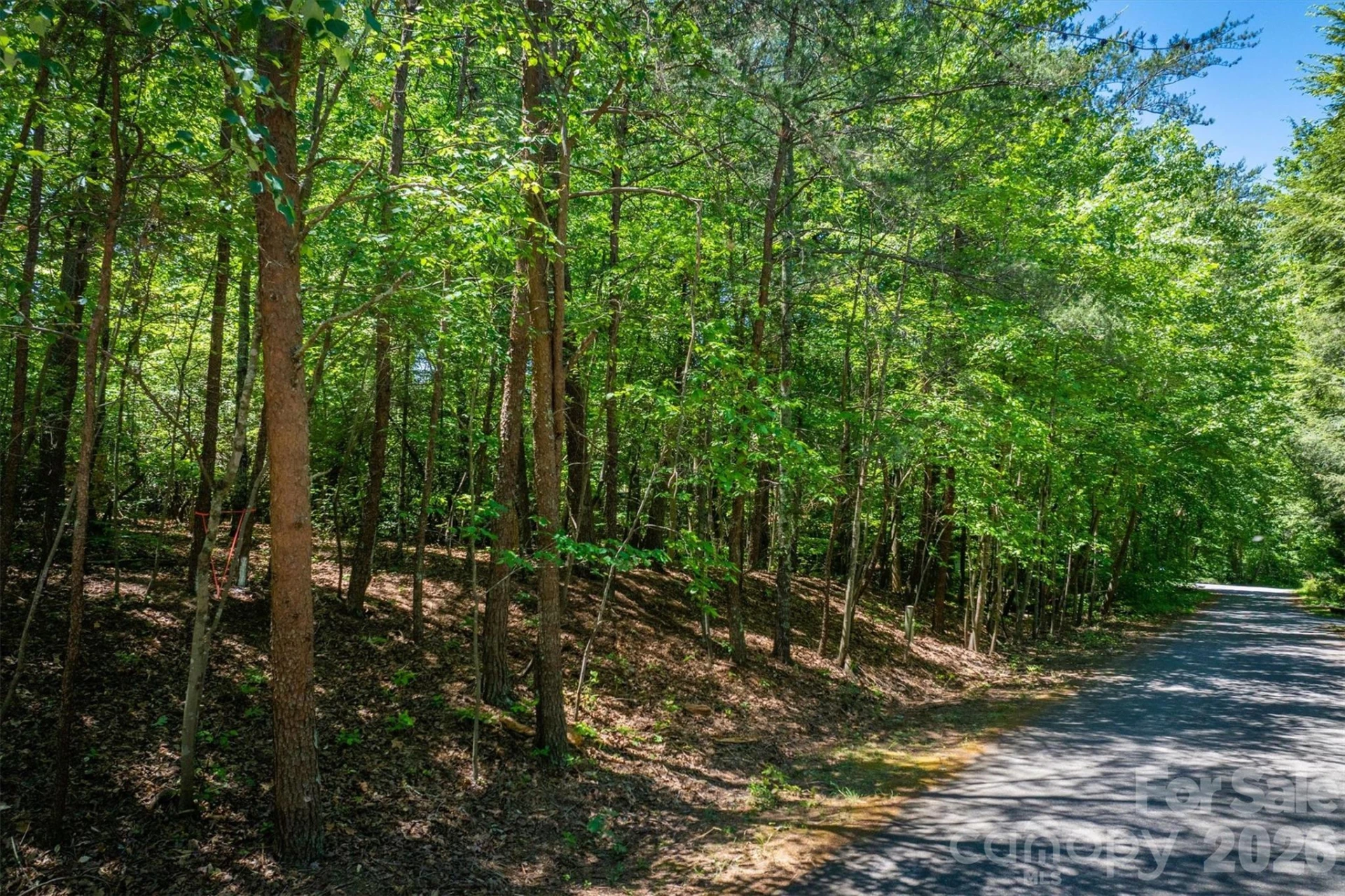 3843 Oak Drive - Photo 4