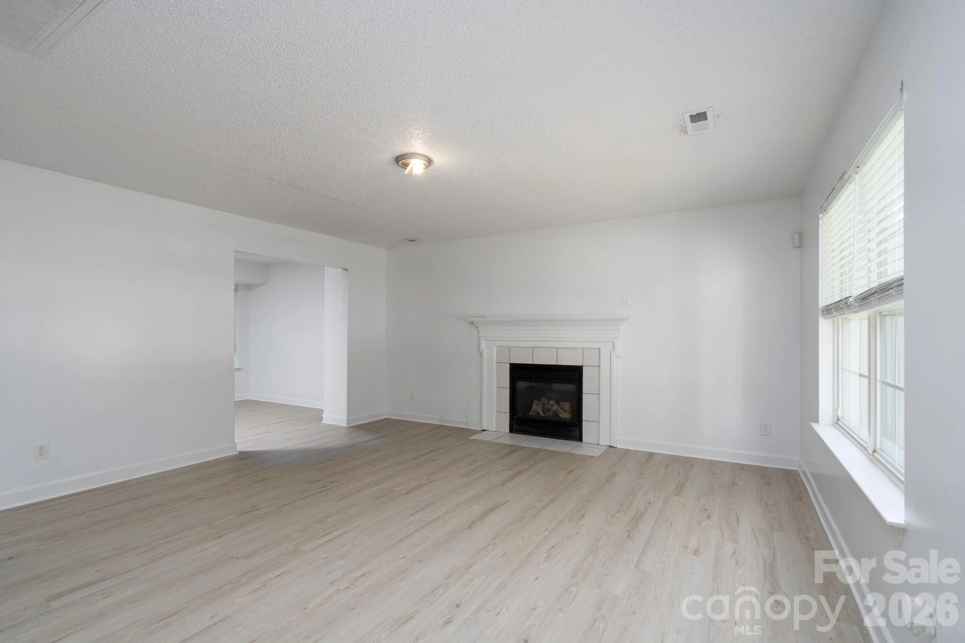 511 Lightspun Lane - Photo 8