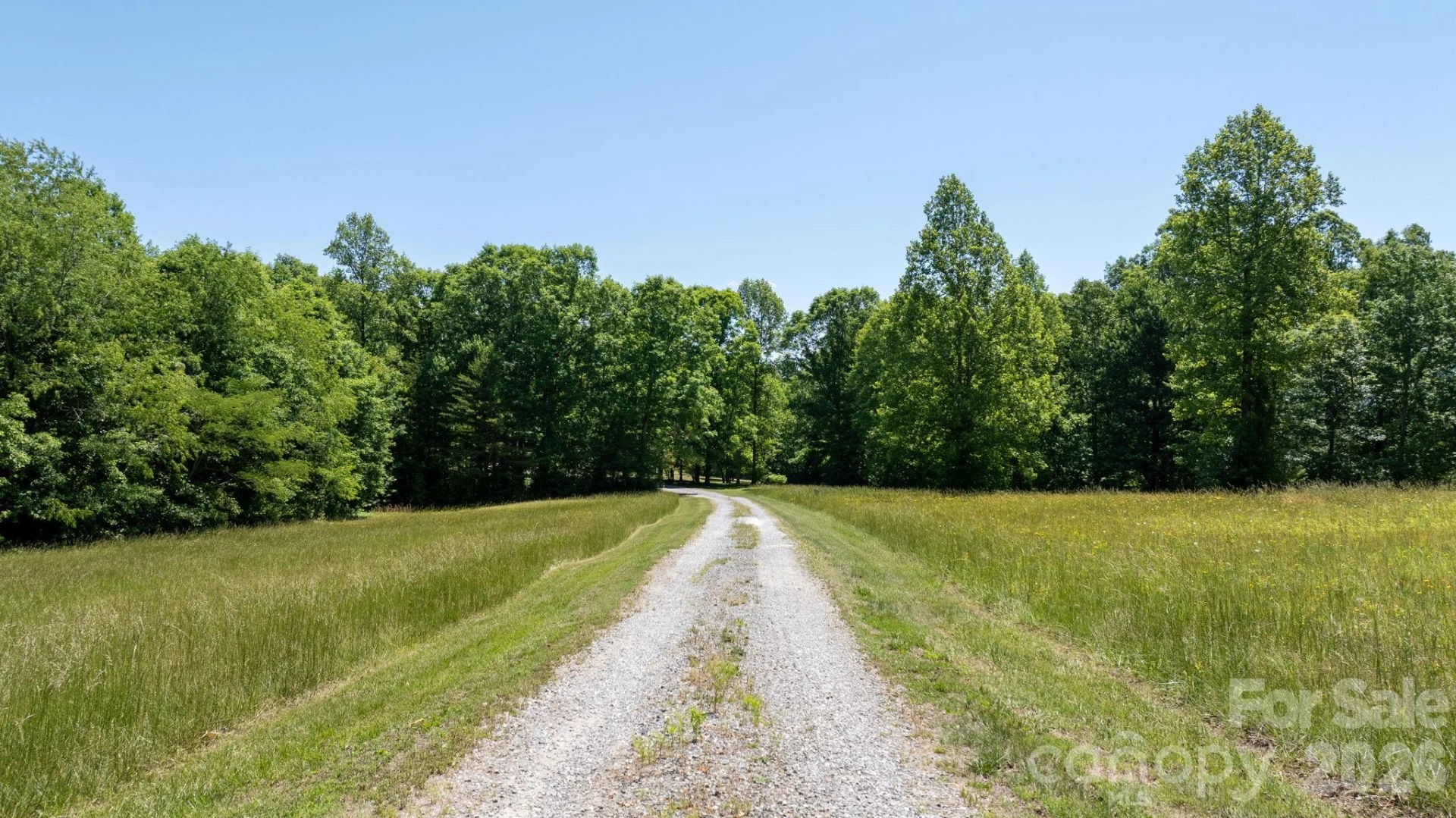 4659 Dysartsville Road - Photo 2
