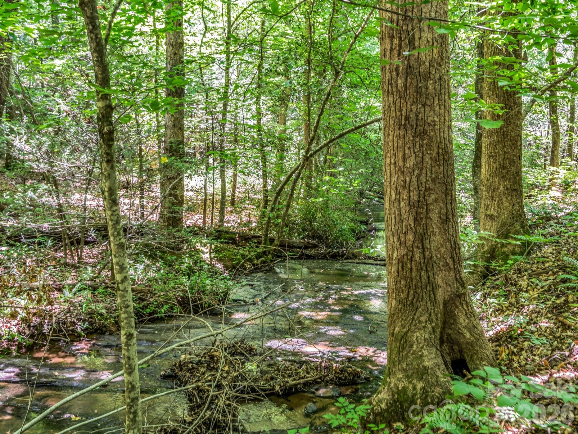 670 Cedar Creek Road - Photo 3