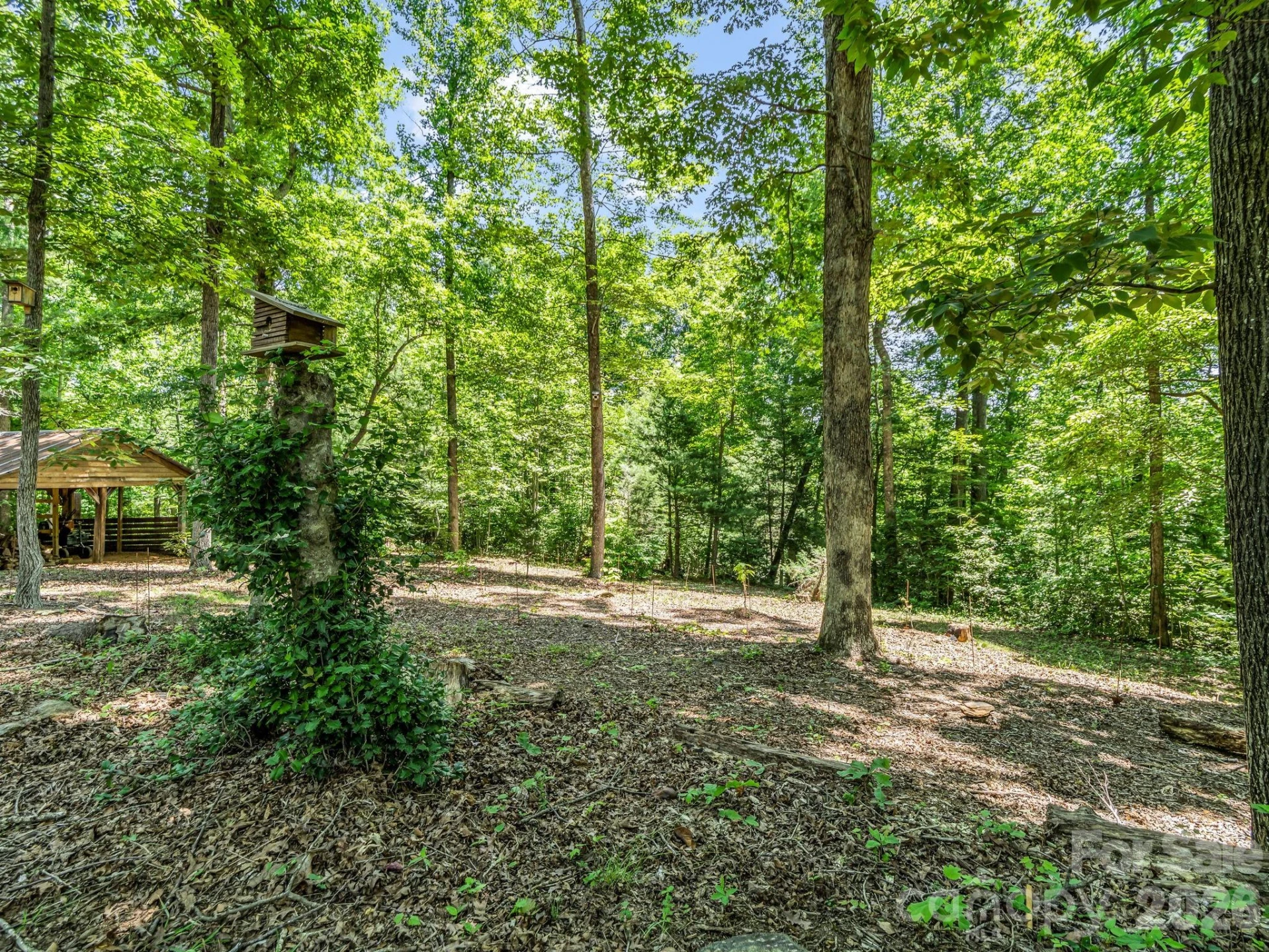670 Cedar Creek Road - Photo 31