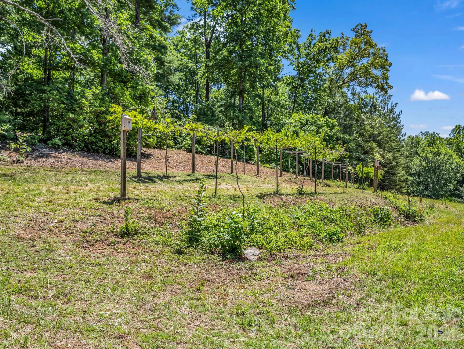 670 Cedar Creek Road - Photo 33