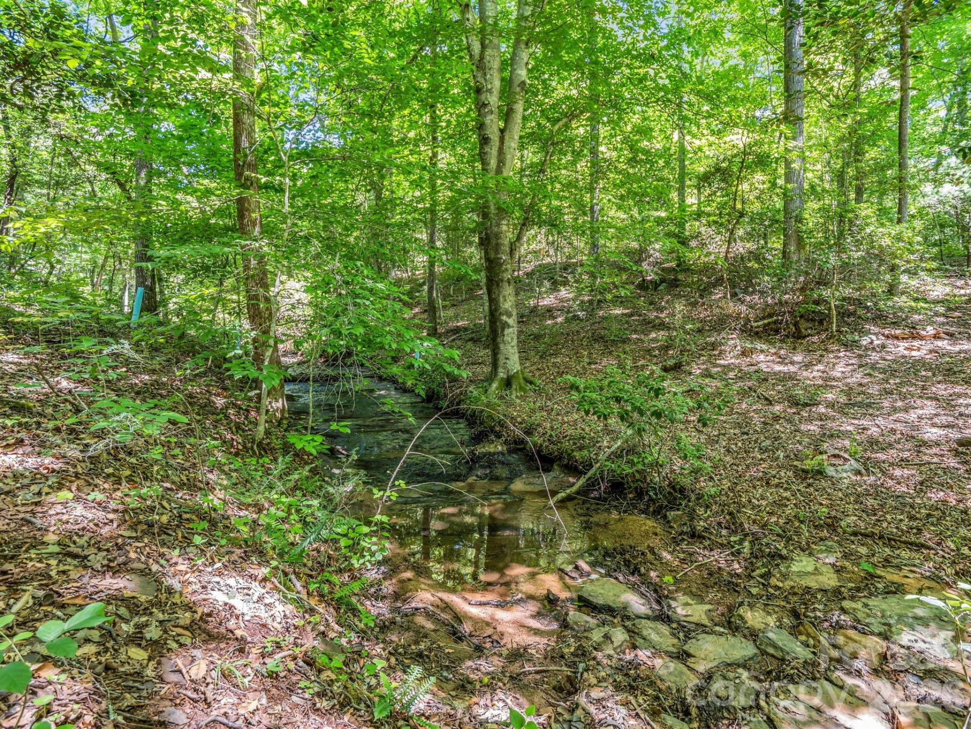 670 Cedar Creek Road - Photo 34