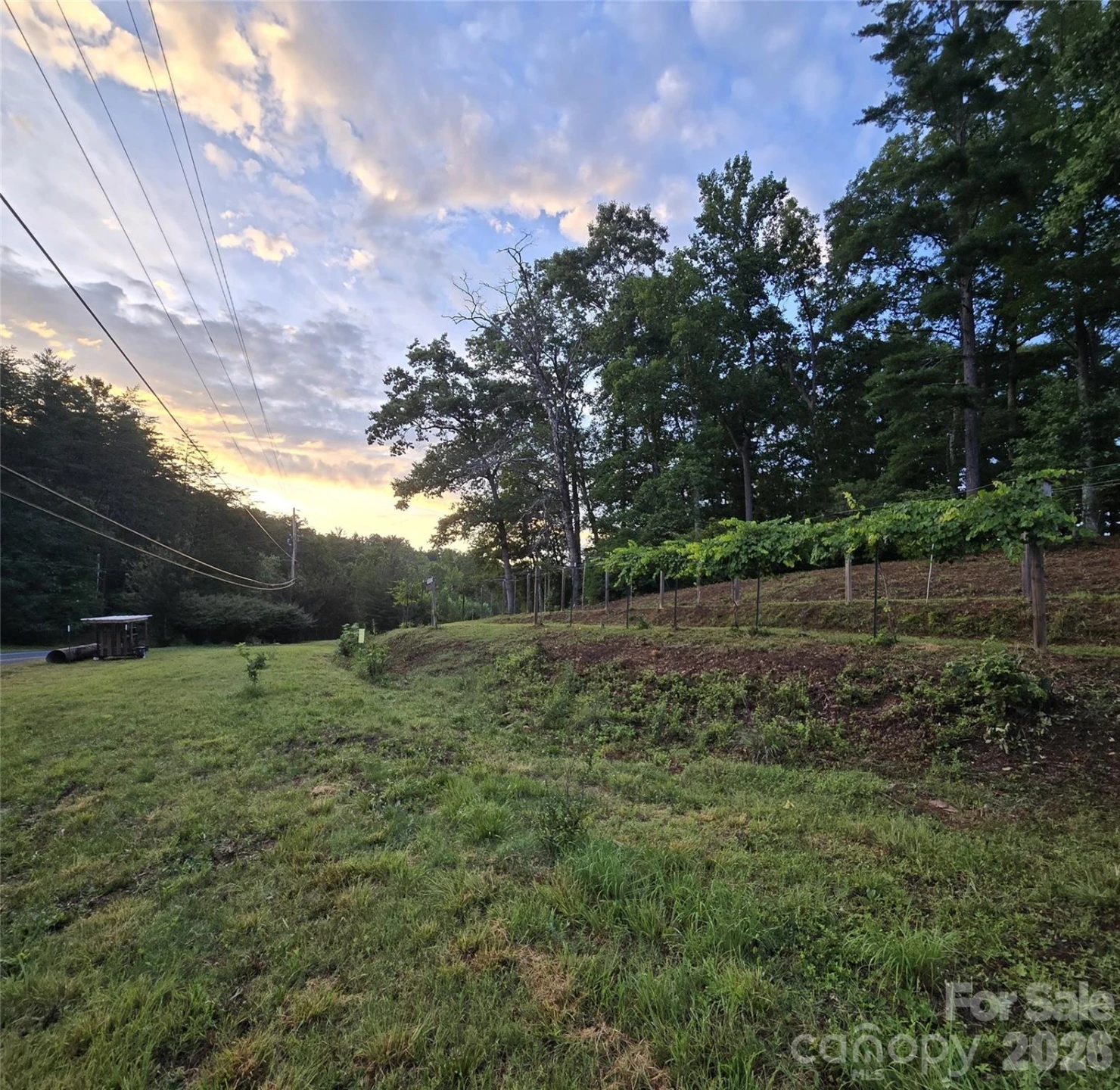 670 Cedar Creek Road - Photo 42