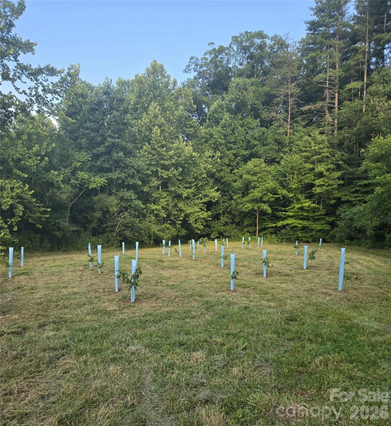 670 Cedar Creek Road - Photo 45