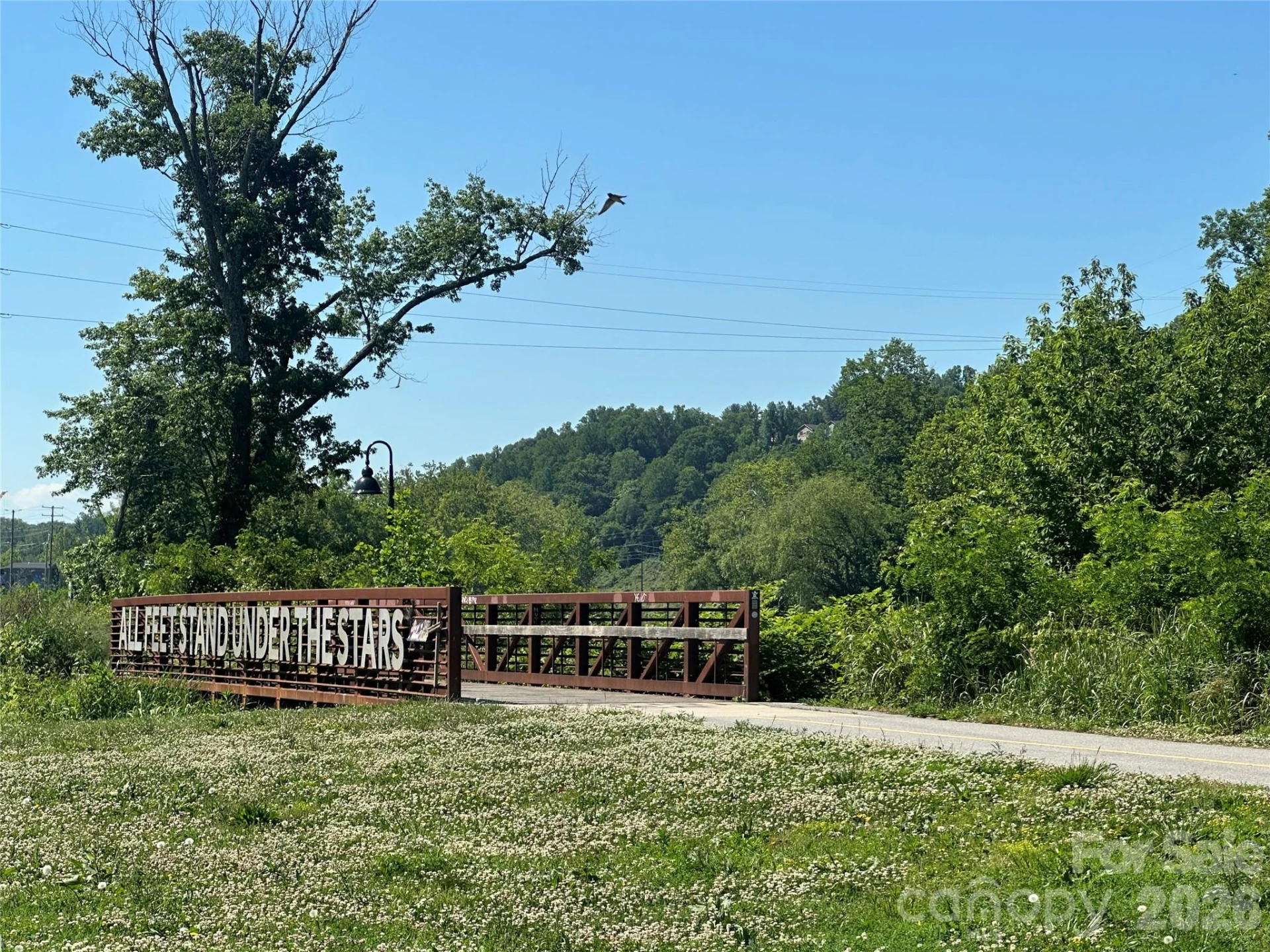 33 Euclid Boulevard - Photo 37