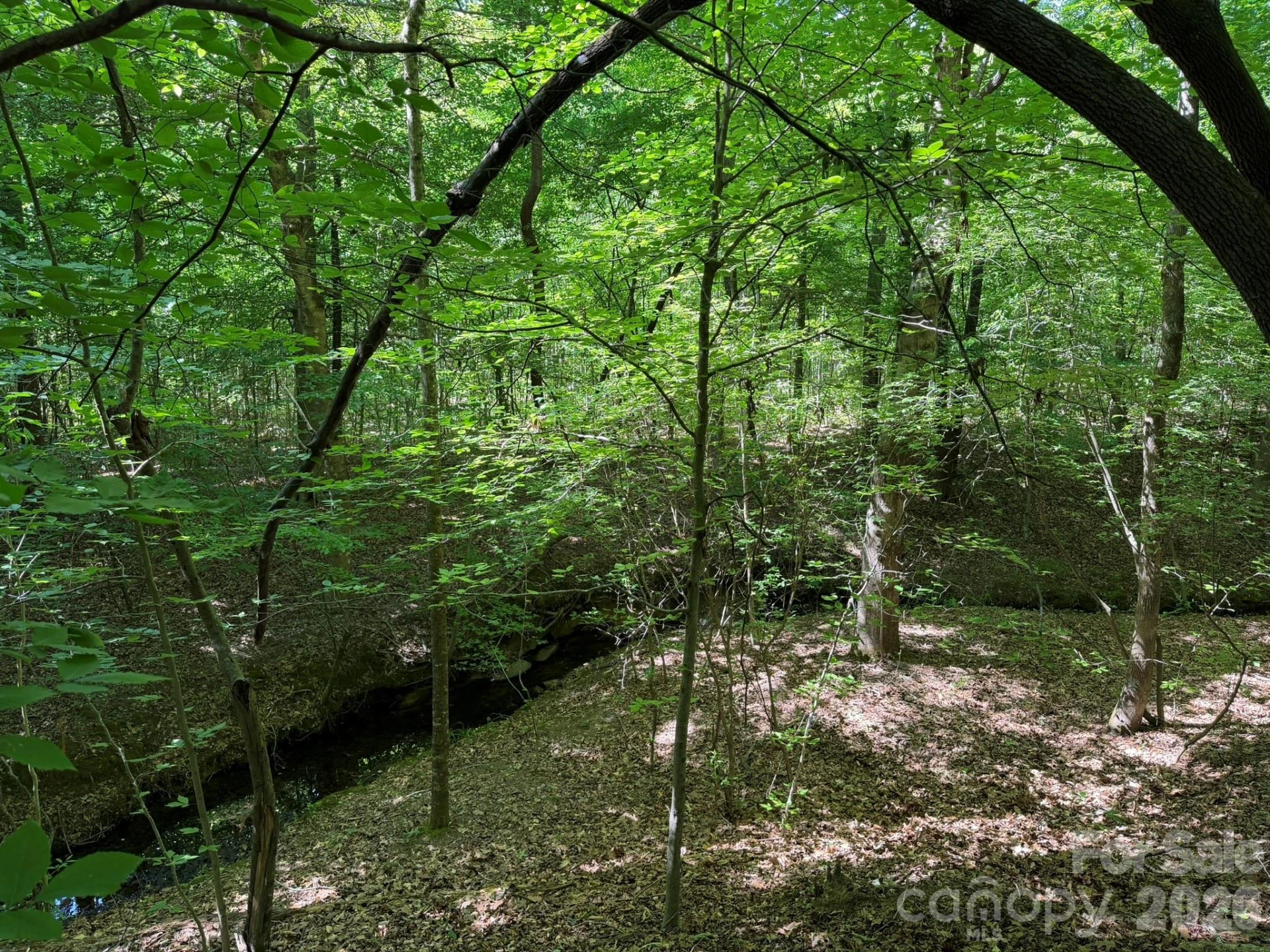 382 Alexis High Shoals Road - Photo 37
