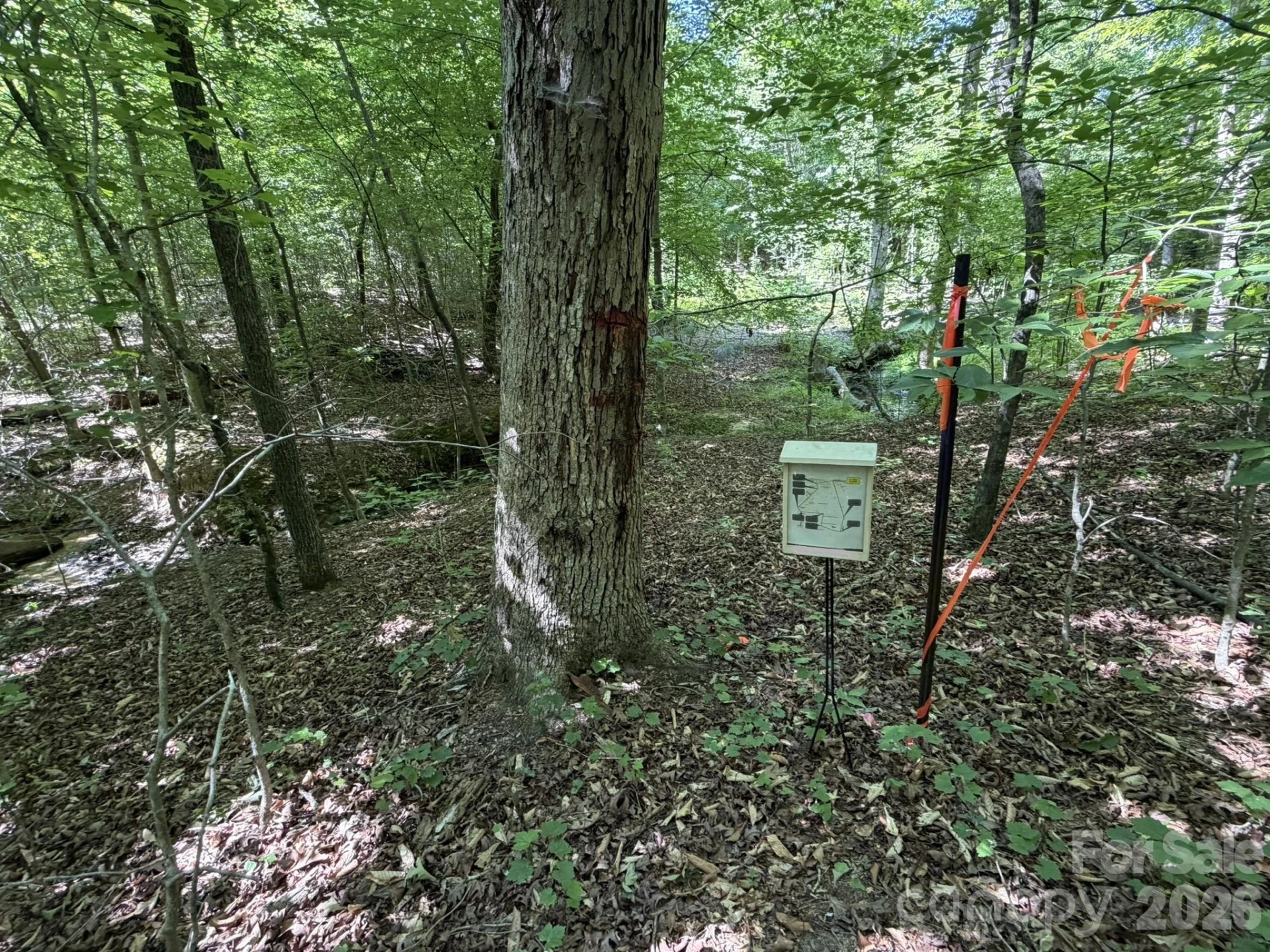 382 Alexis High Shoals Road - Photo 43