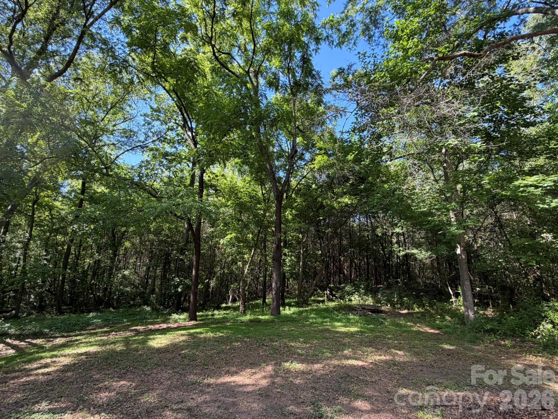 382 Alexis High Shoals Road - Photo 10