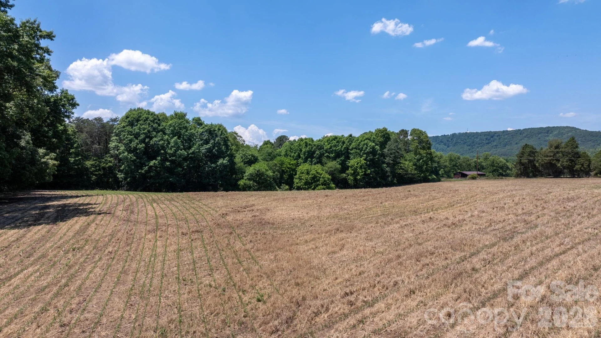 000 Deal Valley Drive