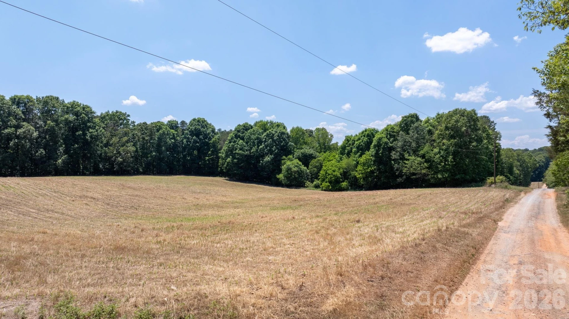 000 Deal Valley Drive - Photo 2