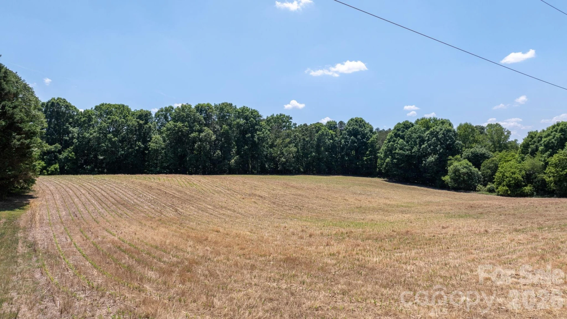 000 Deal Valley Drive - Photo 3