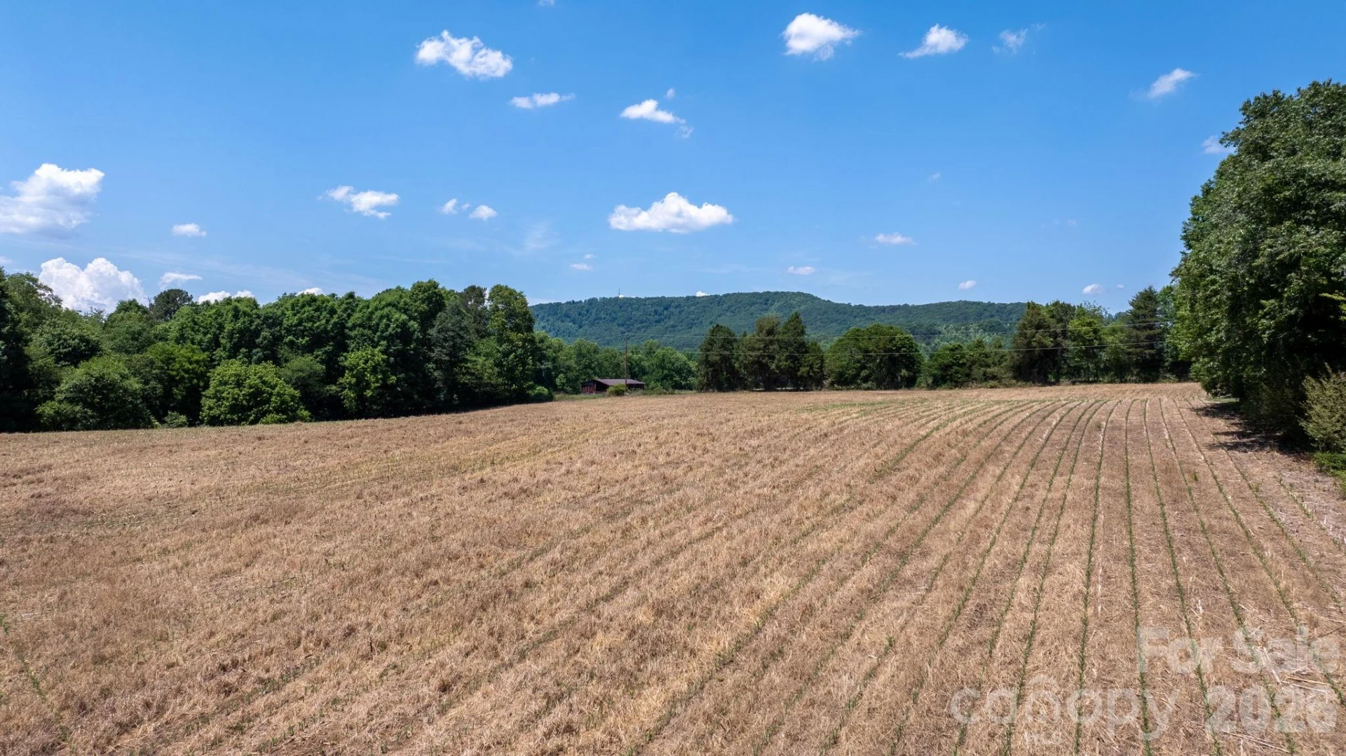 000 Deal Valley Drive - Photo 4
