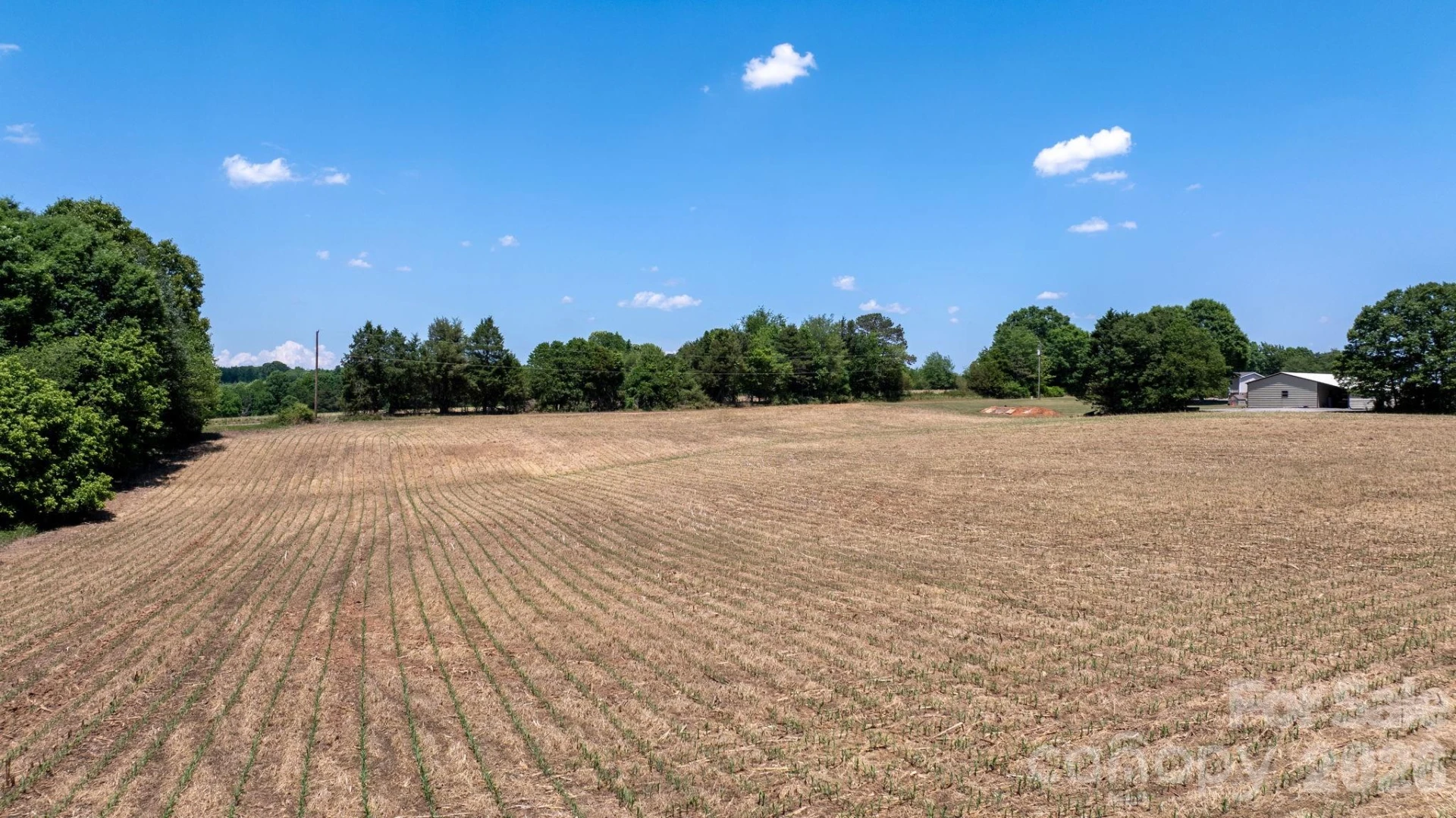 000 Deal Valley Drive - Photo 5