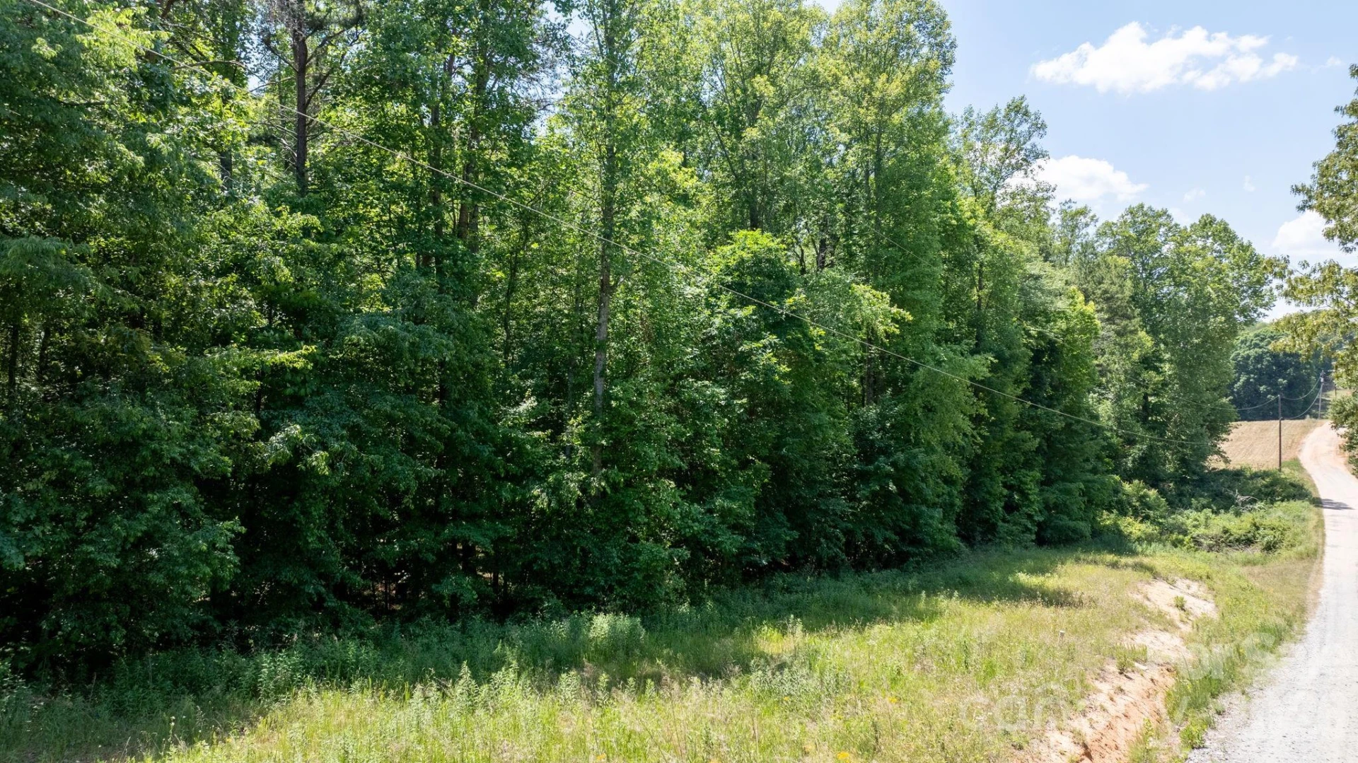 000 Deal Valley Drive - Photo 9