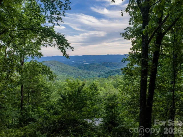 000 New Sprout Lane, Hendersonville, NC, 28792
