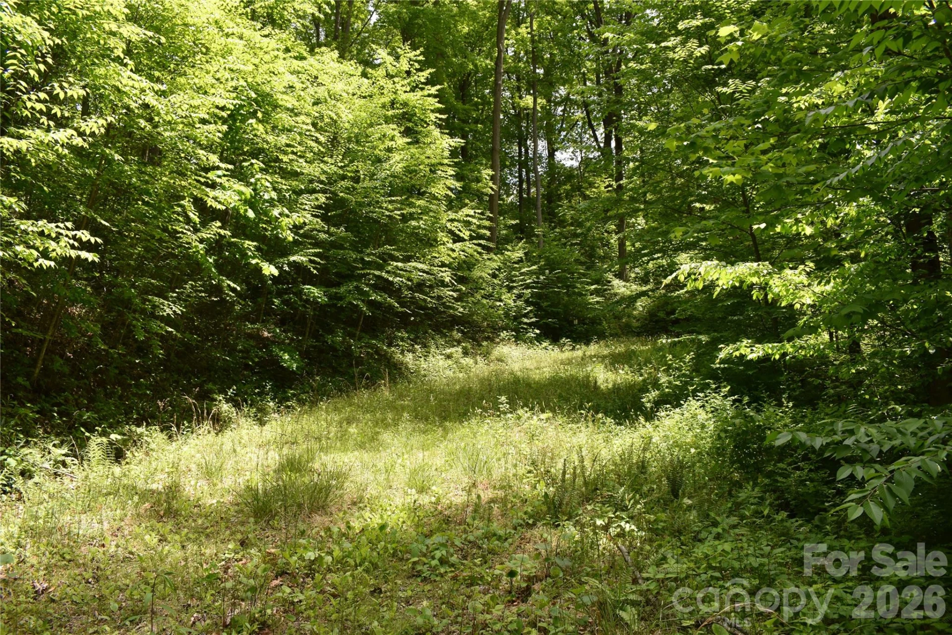 Lot 18 Covered Bridge Trail - Photo 3