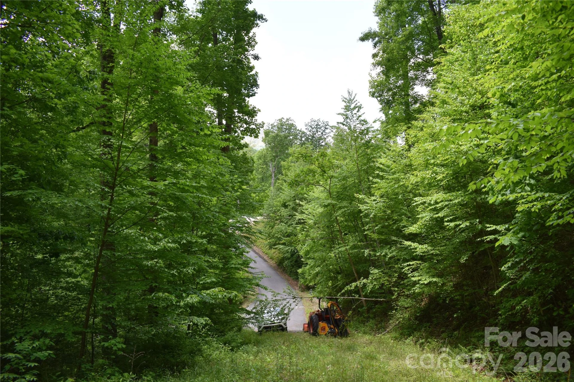 Lot 18 Covered Bridge Trail - Photo 4