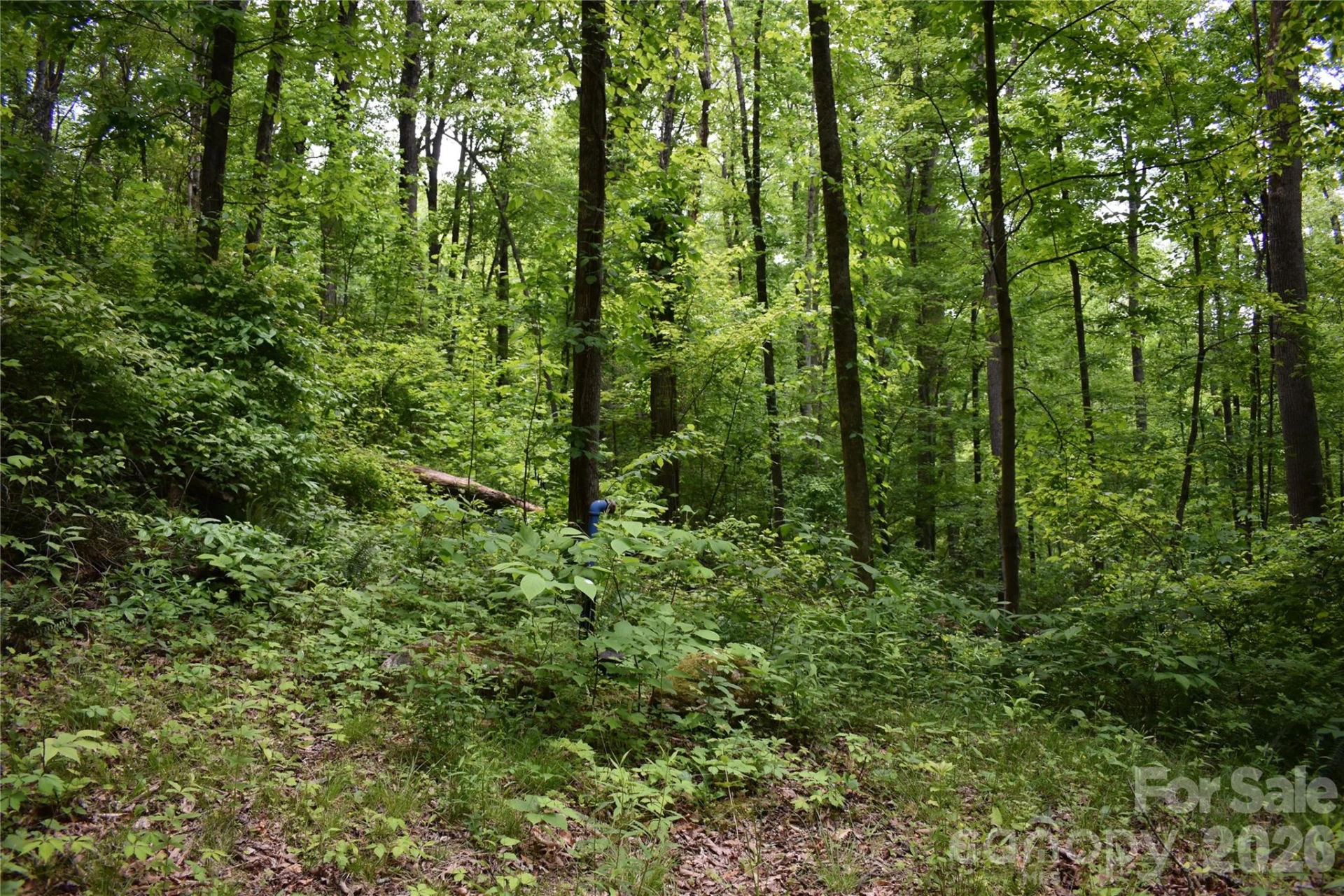 Lot 18 Covered Bridge Trail - Photo 5