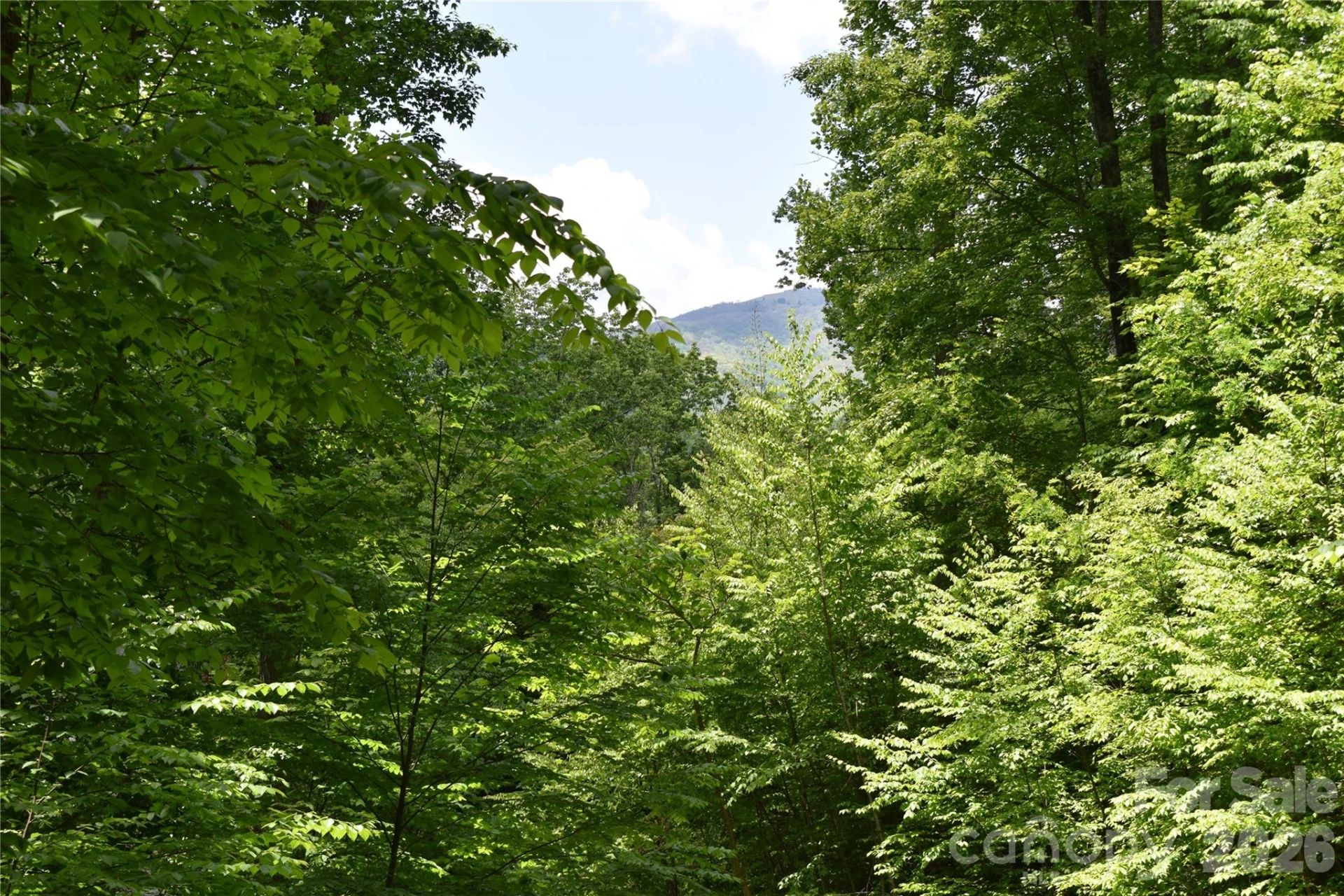 Lot 18 Covered Bridge Trail - Photo 6