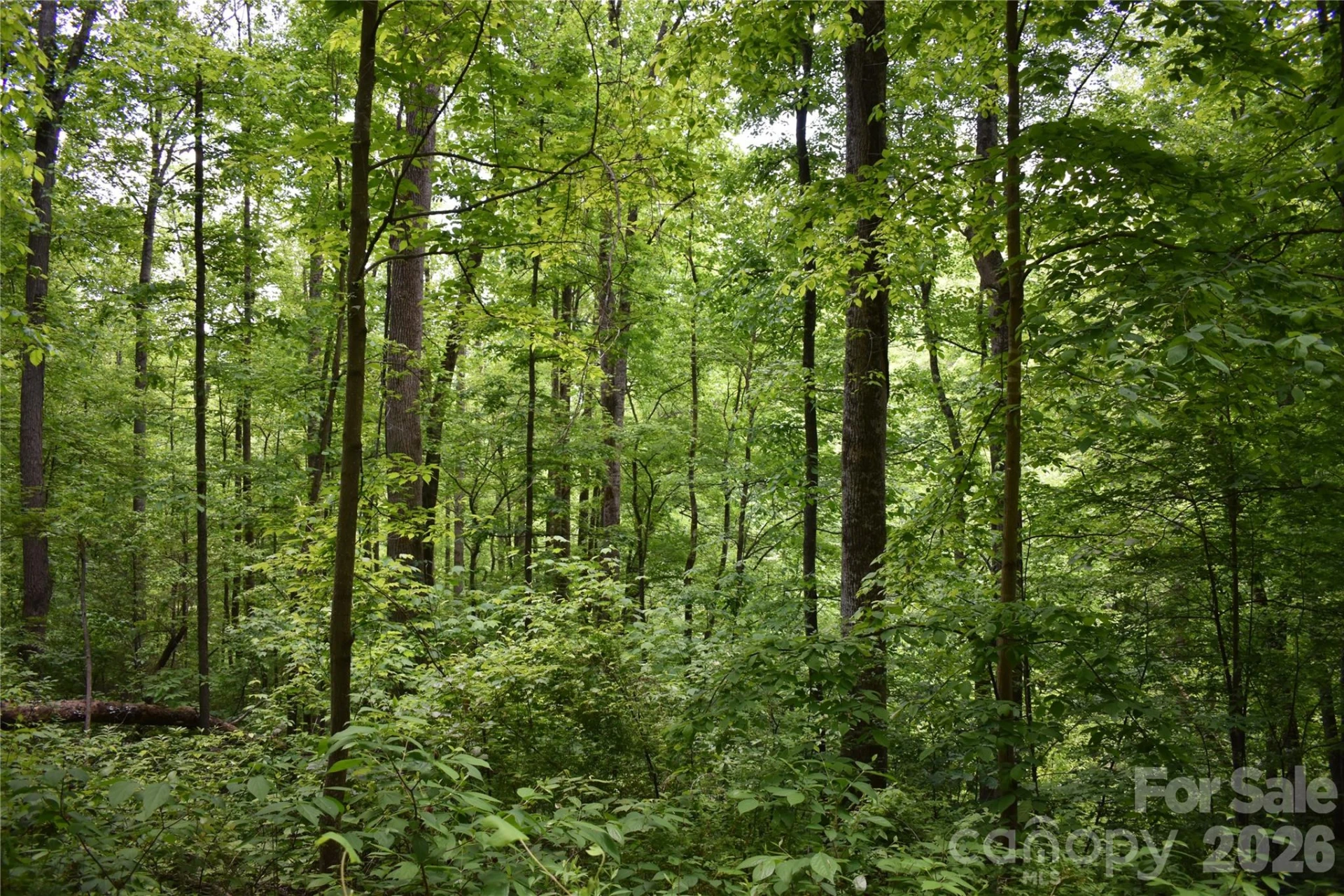 Lot 18 Covered Bridge Trail - Photo 7