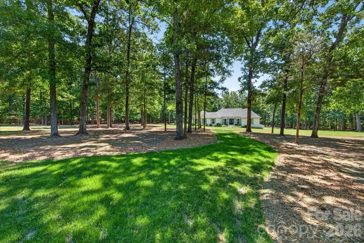 11100 Tara Oaks Drive - Photo 4